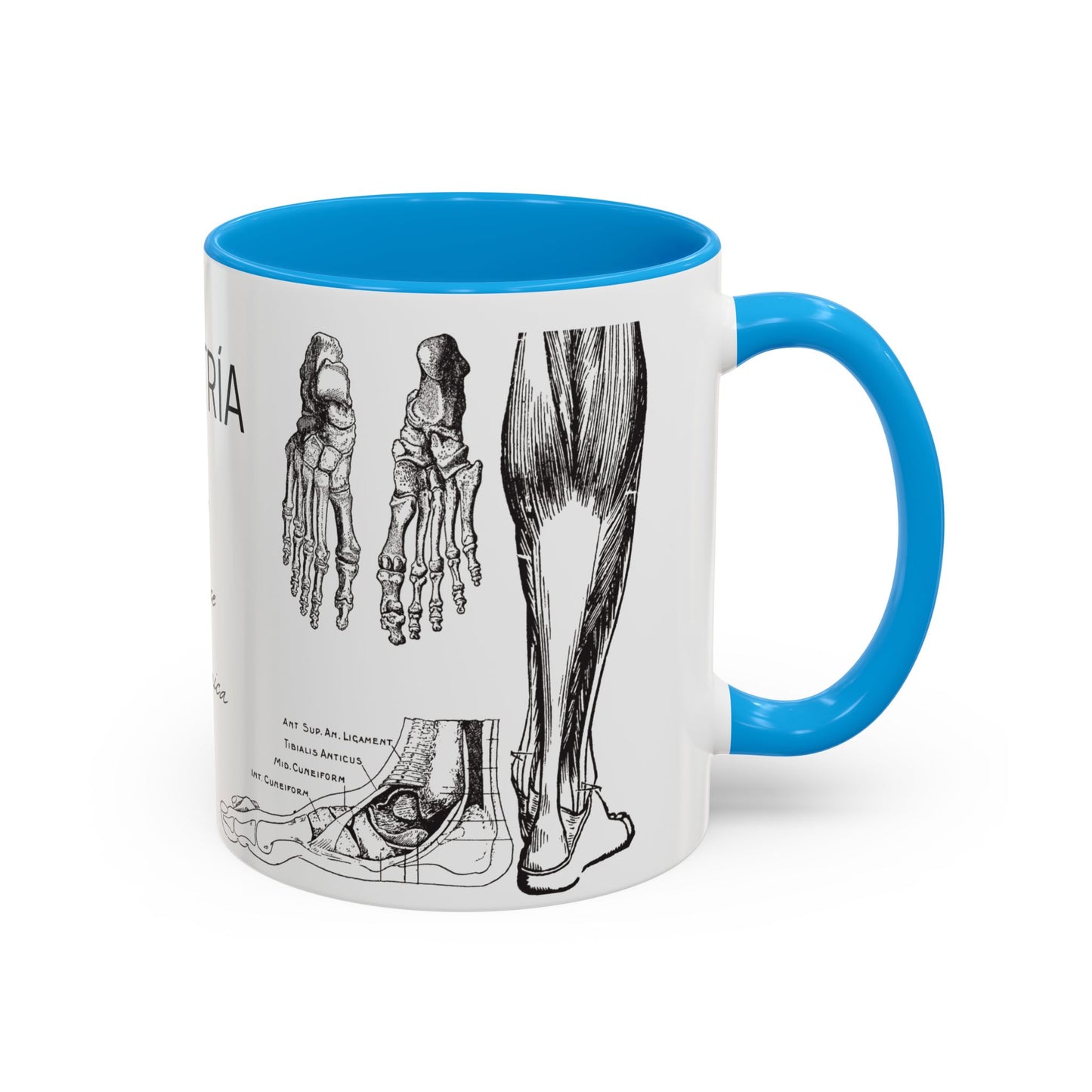 Taza Podología Pie Anatómico, Regalo Podólogo, Taza Anatomía Médica, Taza Doctor, Taza Estudiante Medicina, Personal Sanitario