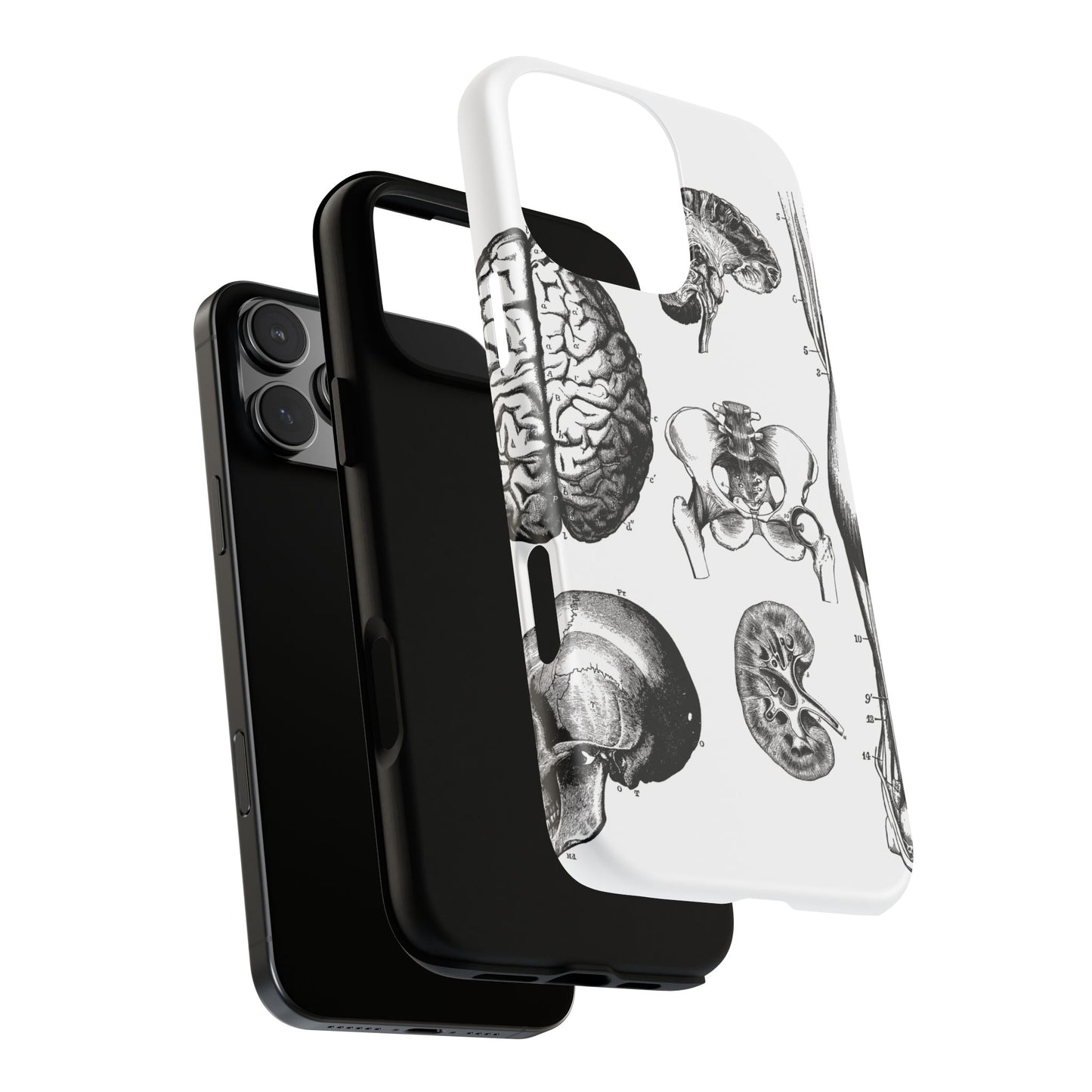Vintage Anatomy Phone Case - Medical Sketch Design - Custom iPhone, Samsung & Pixel Cover - Science Gift - Doctor Aesthetic - Anatomy case