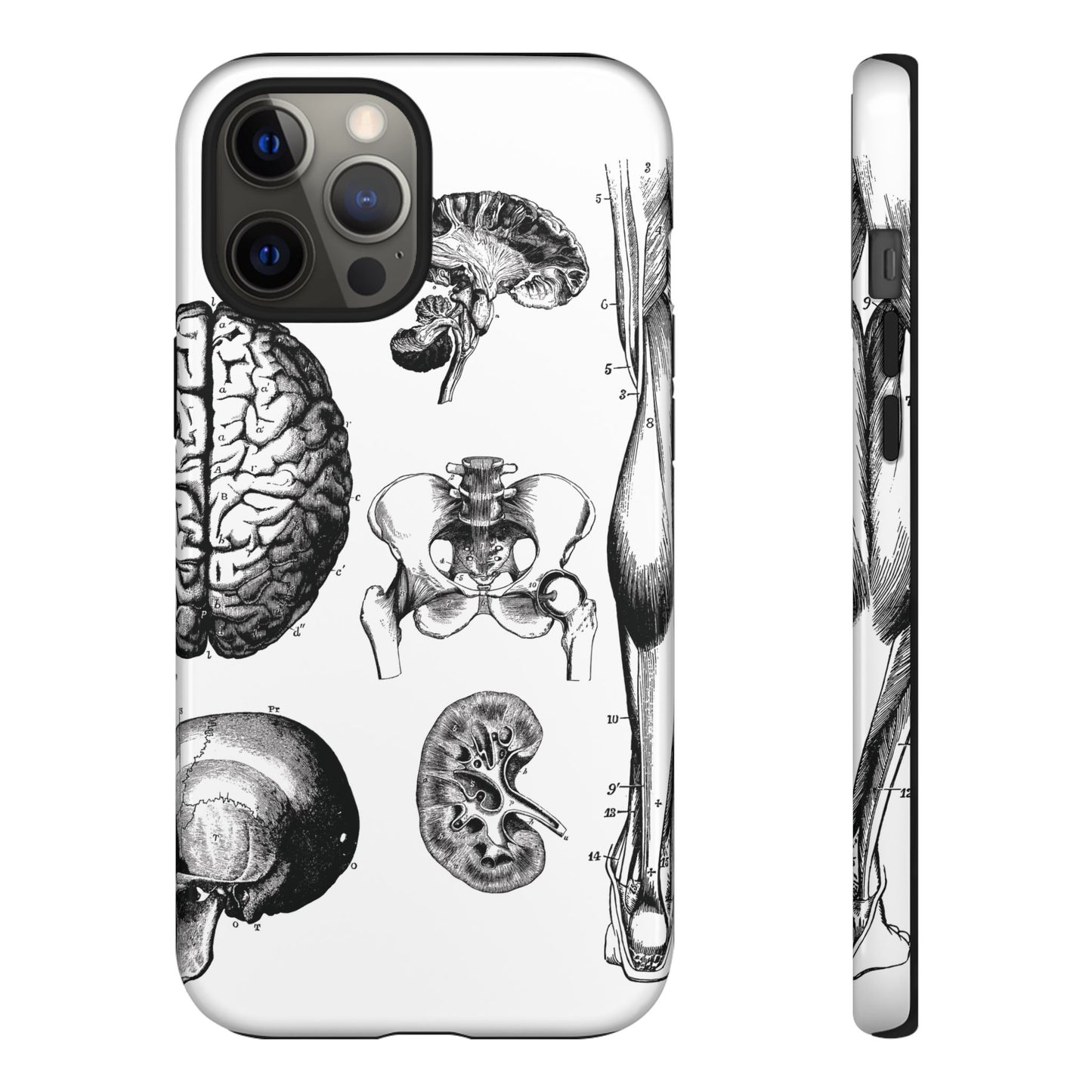 Vintage Anatomy Phone Case - Medical Sketch Design - Custom iPhone, Samsung & Pixel Cover - Science Gift - Doctor Aesthetic - Anatomy case