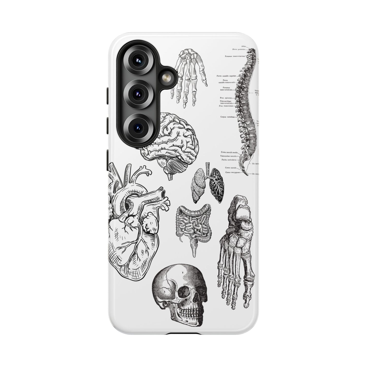 Anatomical Phone Case - Vintage Medical Illustration Case - Science Gift - Custom Medical Phone Cover - Custom Phone Cover - Medical Student