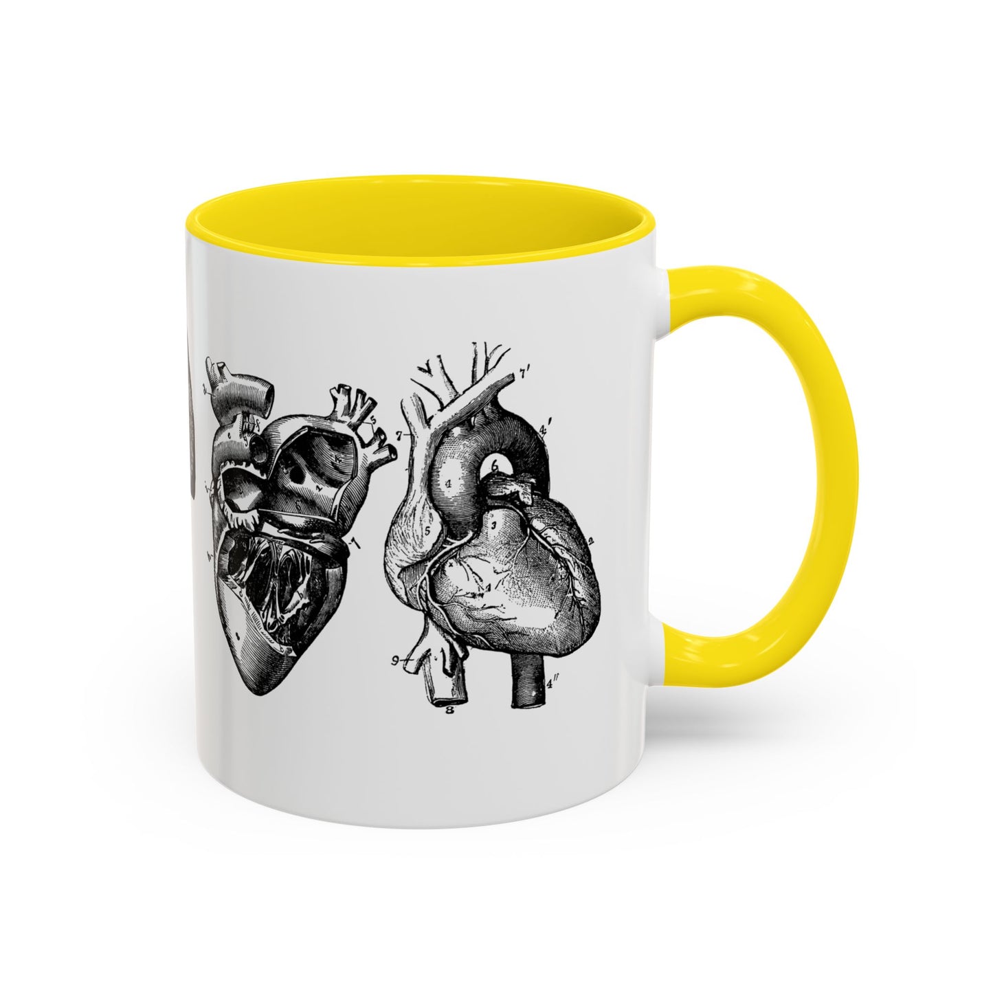 Cardiothoracic Surgery Mug, Heart and Lung Anatomy Cup, Surgeon Gift, Medical Anatomy Mug, Doctor Appreciation, Healthcare Worker Gift
