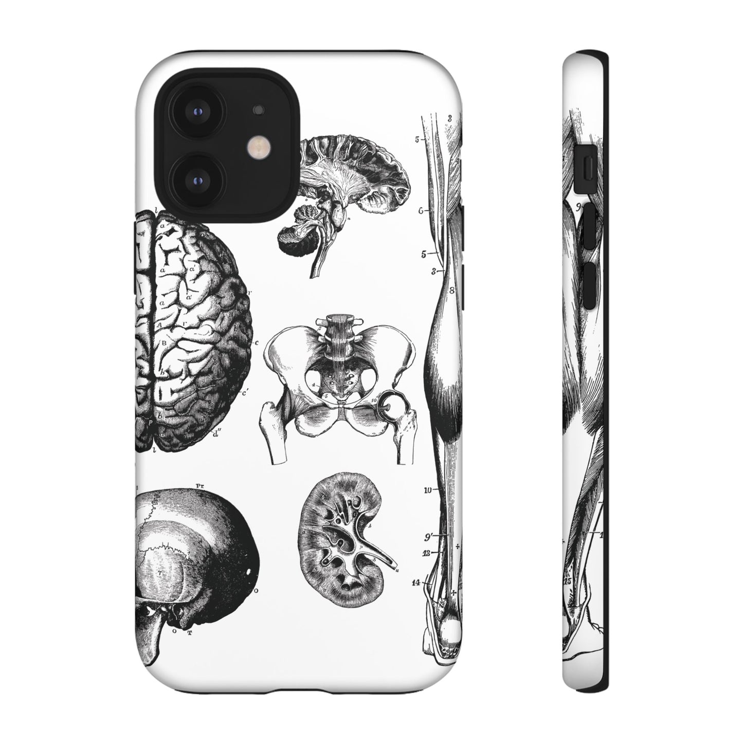 Vintage Anatomy Phone Case - Medical Sketch Design - Custom iPhone, Samsung & Pixel Cover - Science Gift - Doctor Aesthetic - Anatomy case