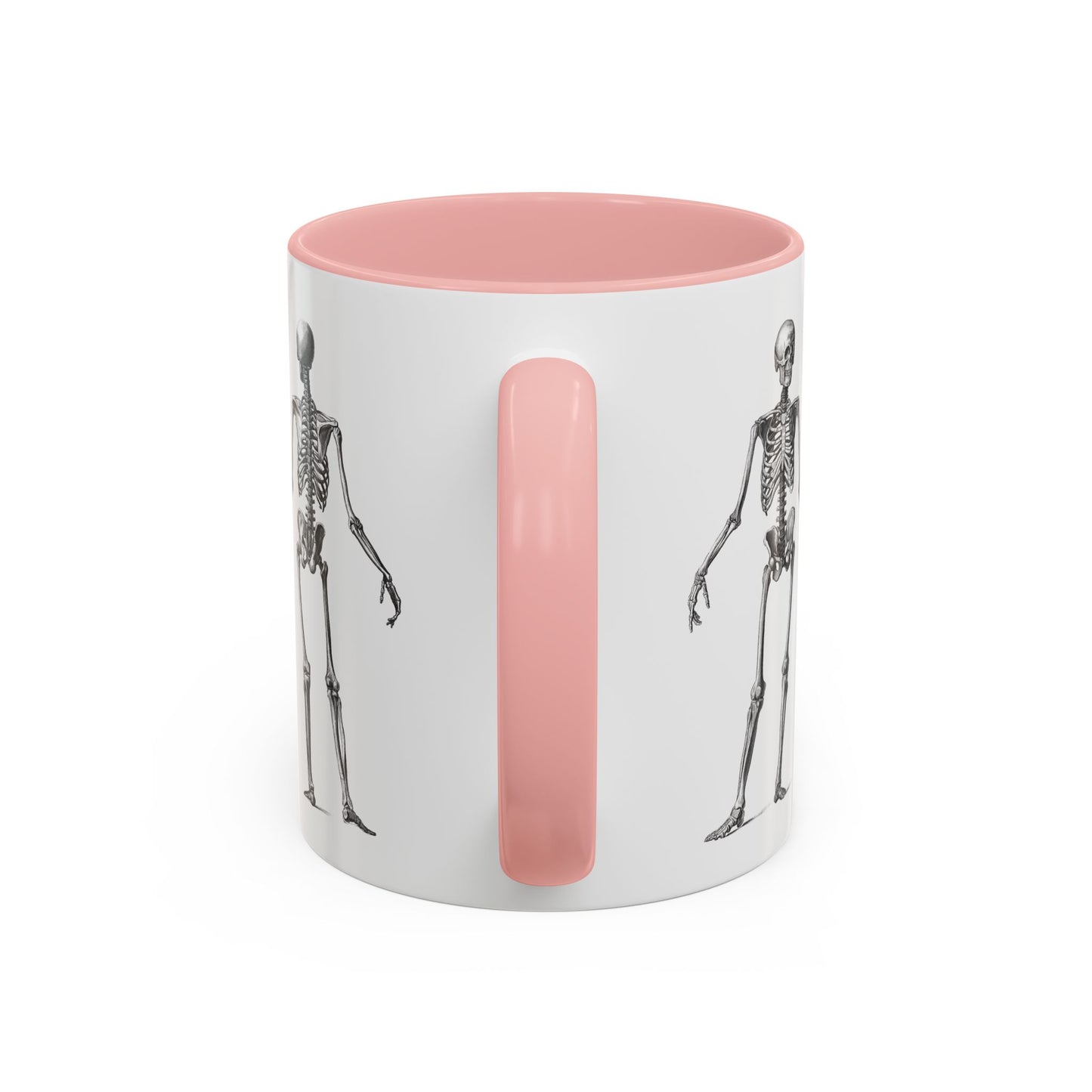 Anatomy Skeleton Accent Coffee Mug, Medical Student Doctor Nurse Gift, Anatomical Diagram, Halloween Mug, Biology Teacher Gift,