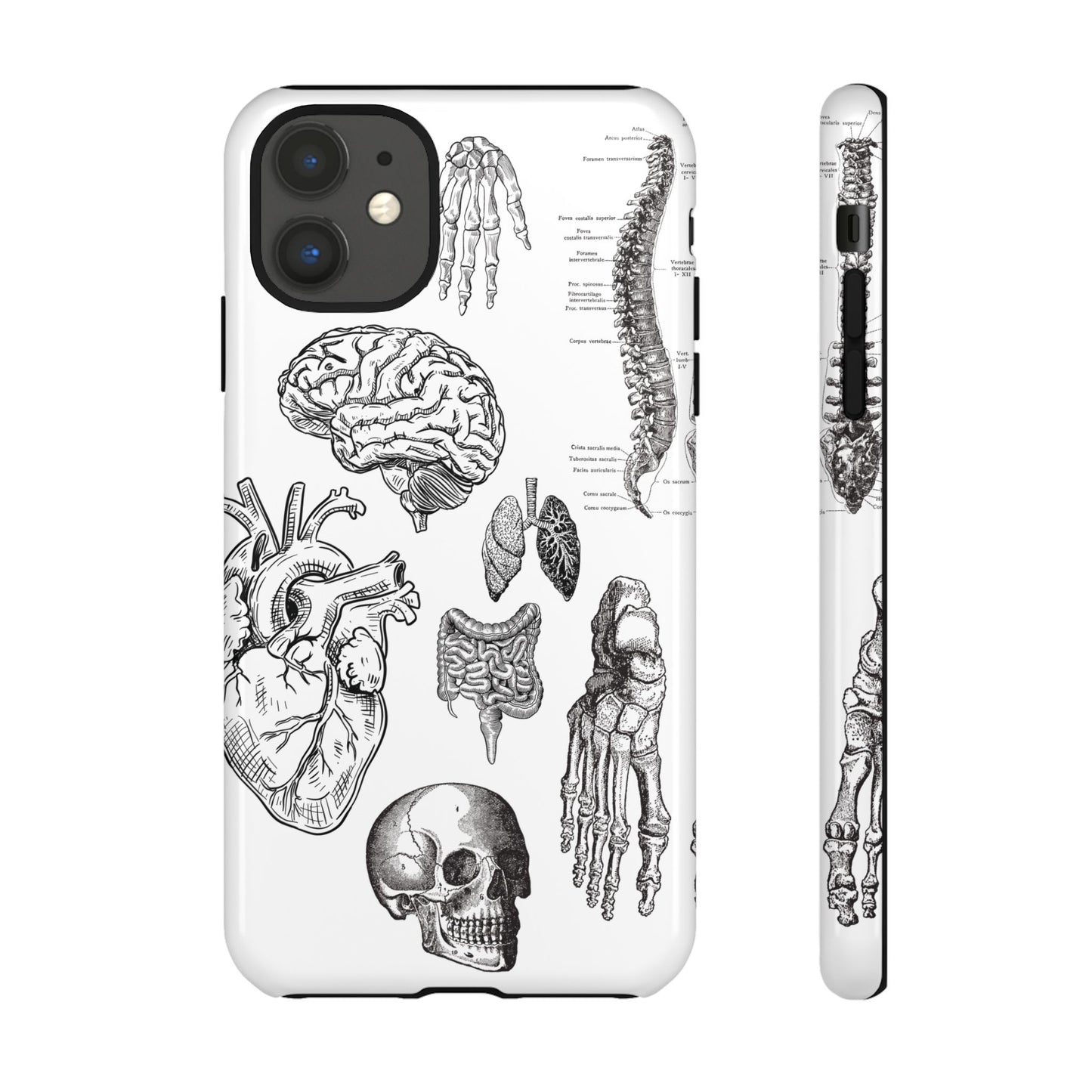 Anatomical Phone Case - Vintage Medical Illustration Case - Science Gift - Custom Medical Phone Cover - Custom Phone Cover - Medical Student
