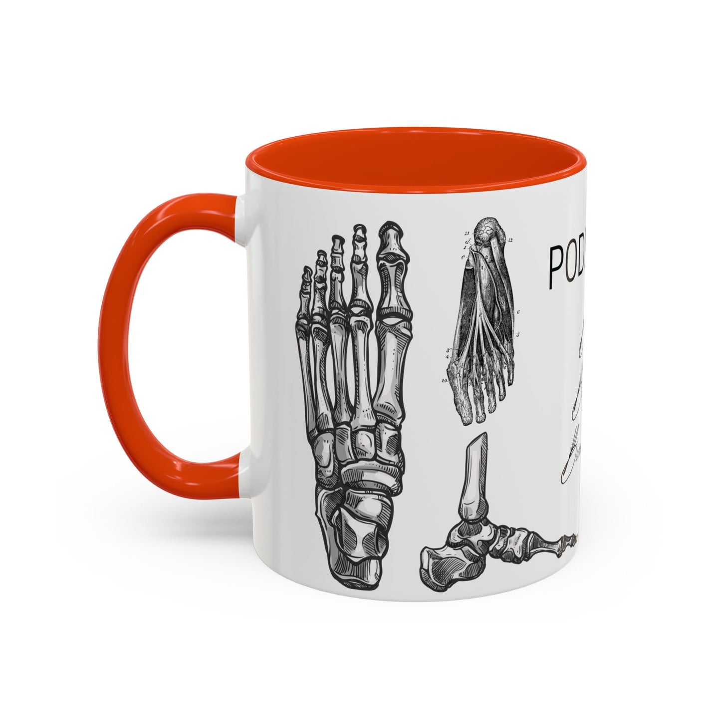 Taza Podología Pie Anatómico, Regalo Podólogo, Taza Anatomía Médica, Taza Doctor, Taza Estudiante Medicina, Personal Sanitario