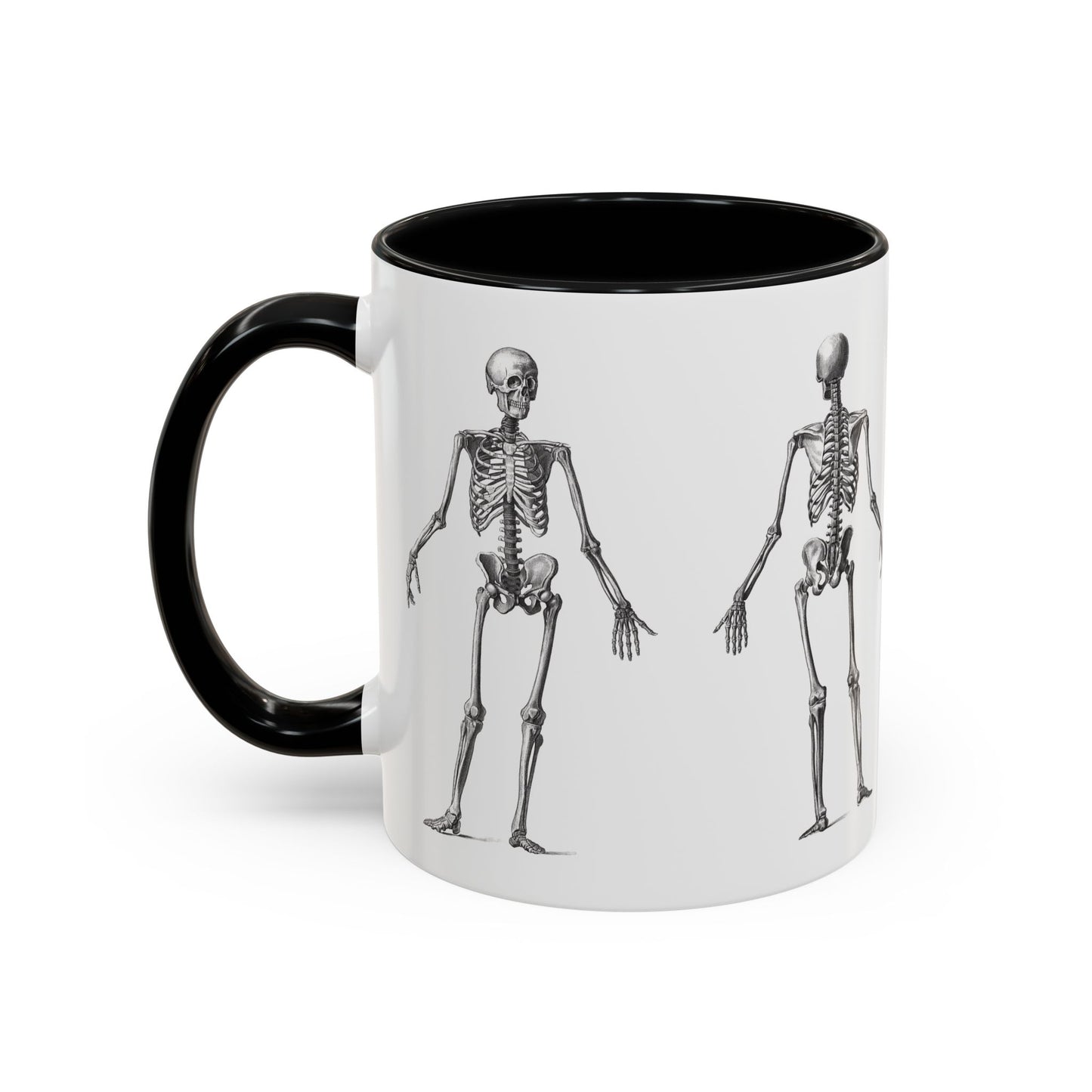 Anatomy Skeleton Accent Coffee Mug, Medical Student Doctor Nurse Gift, Anatomical Diagram, Halloween Mug, Biology Teacher Gift,