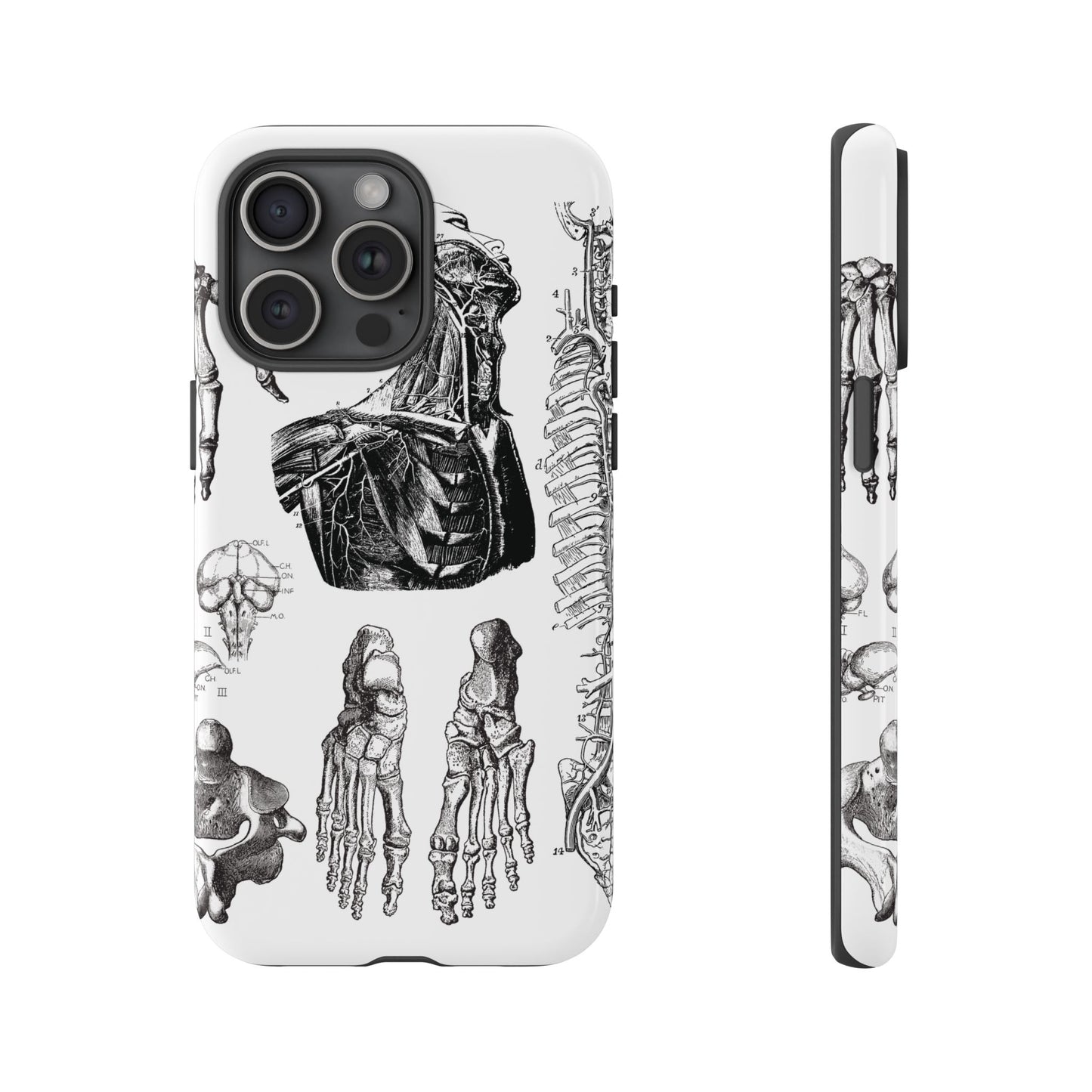 Vintage Anatomy Phone Case - Medical Illustration Design - Custom iPhone, Samsung & Pixel Cover - Science Gift - Doctor Aesthetic - Anatomy