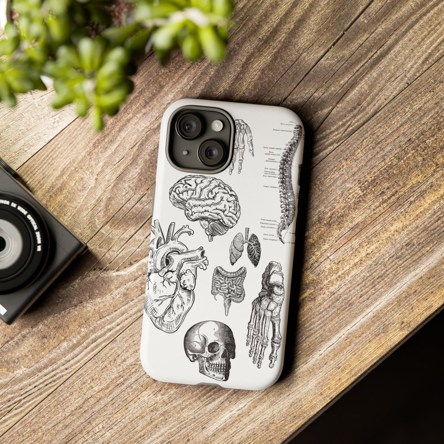 Anatomical Phone Case - Vintage Medical Illustration Case - Science Gift - Custom Medical Phone Cover - Custom Phone Cover - Medical Student