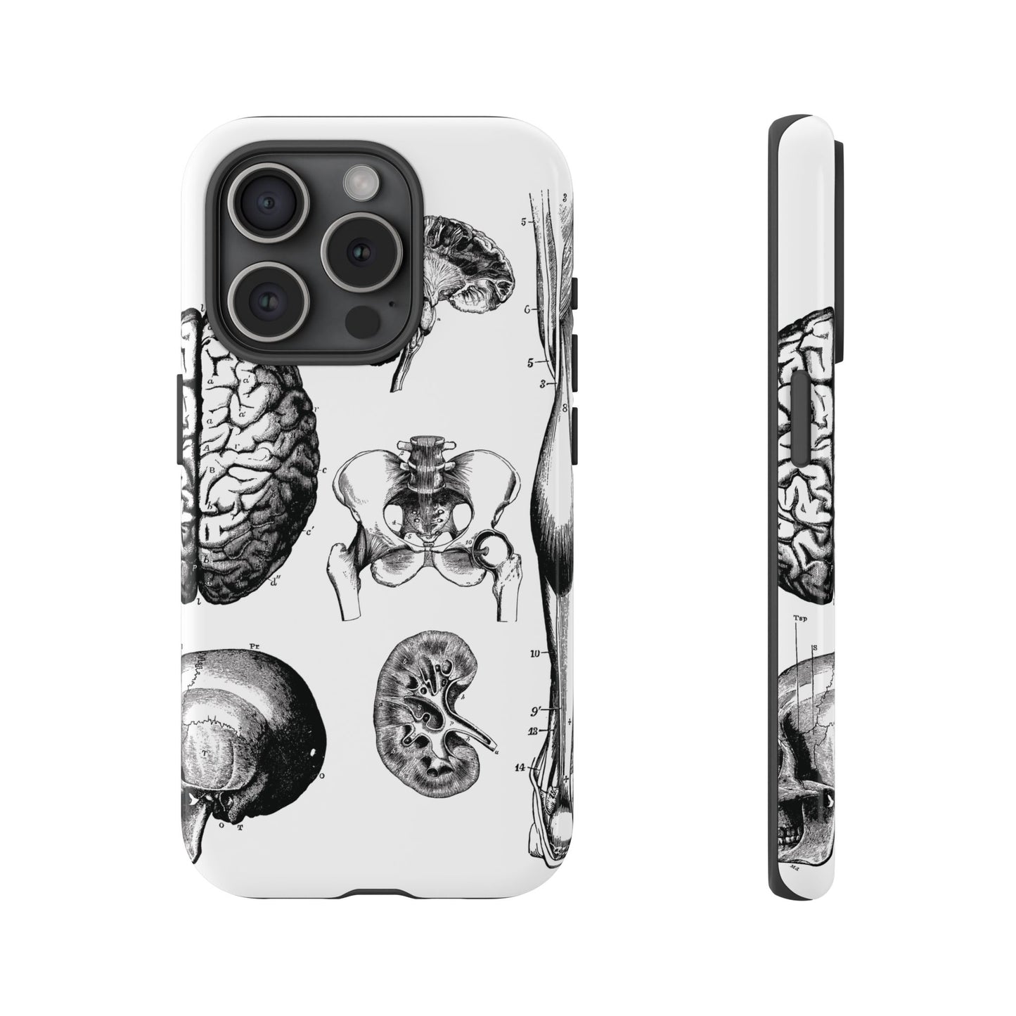 Vintage Anatomy Phone Case - Medical Sketch Design - Custom iPhone, Samsung & Pixel Cover - Science Gift - Doctor Aesthetic - Anatomy case