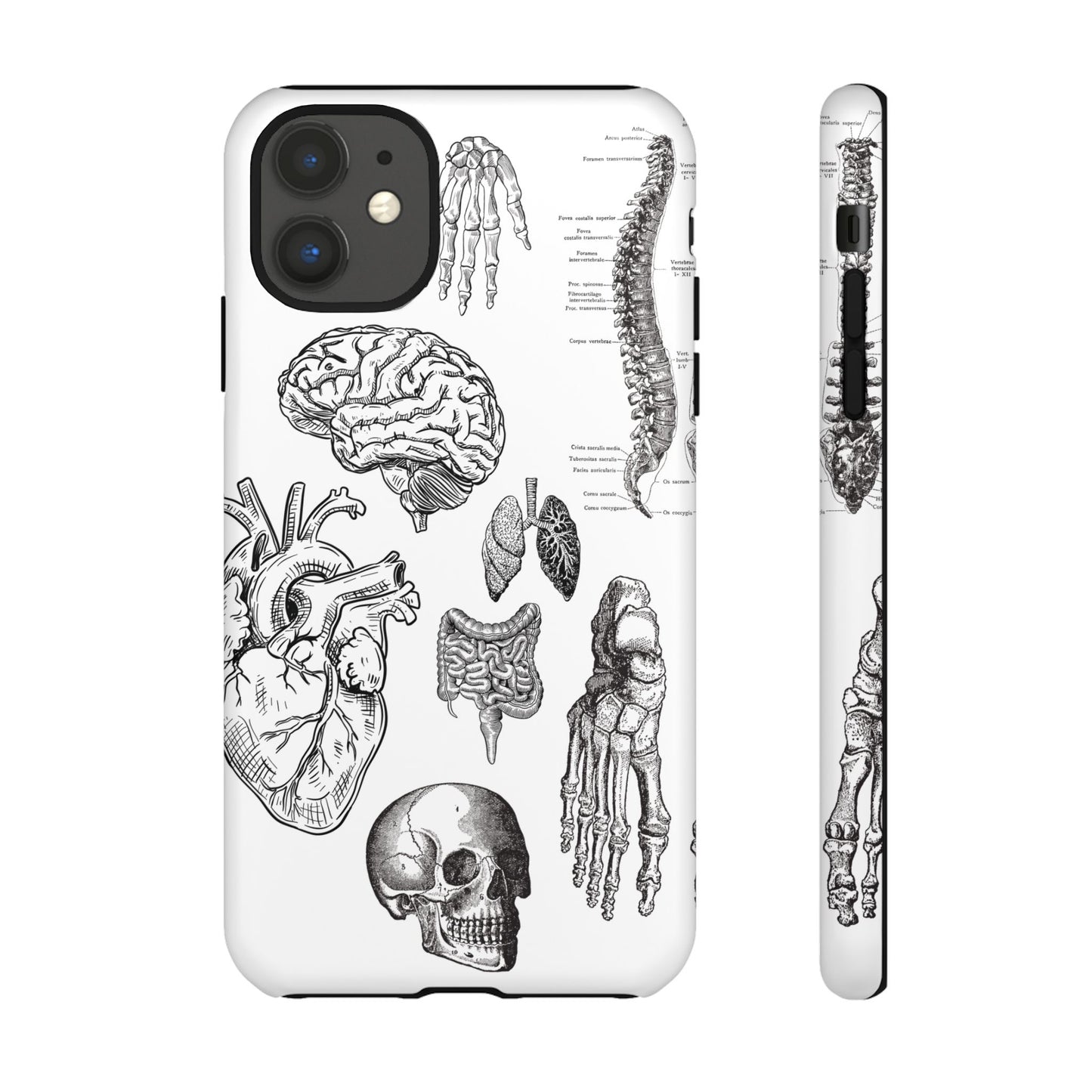 Anatomical Phone Case - Vintage Medical Illustration Case - Science Gift - Custom Medical Phone Cover - Custom Phone Cover - Medical Student
