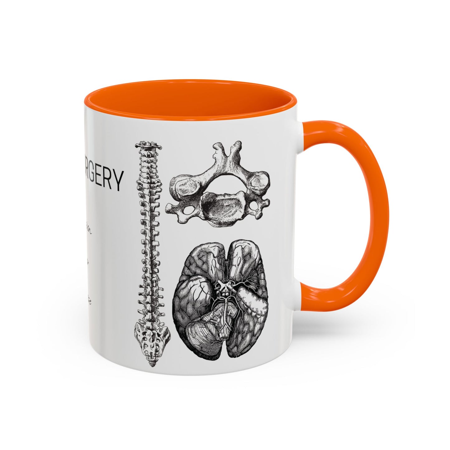 Neuro-Spine Mug, Anatomical Spine Illustration Cup, Neurosurgeon Gift Idea, Spine Surgery Mug, Doctor Appreciation, Medical Worker Gift