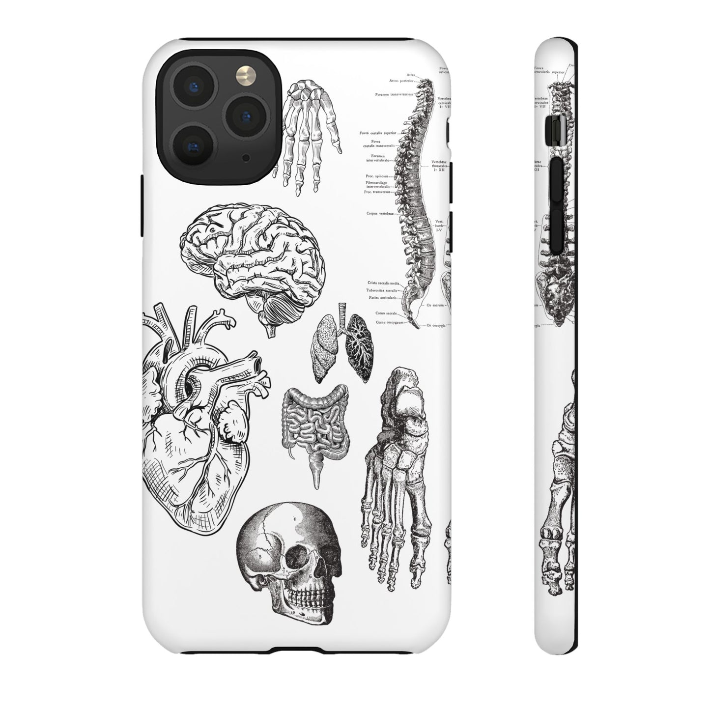 Anatomical Phone Case - Vintage Medical Illustration Case - Science Gift - Custom Medical Phone Cover - Custom Phone Cover - Medical Student