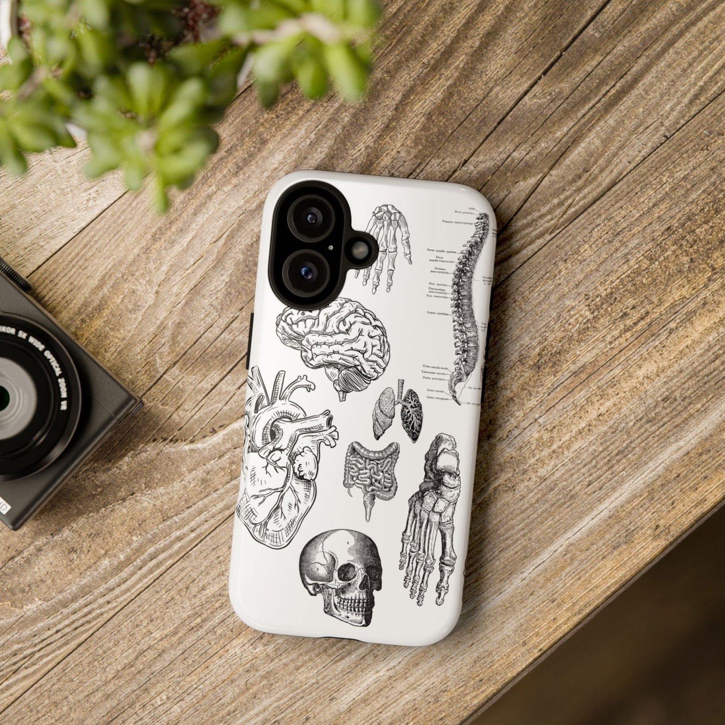 Anatomical Phone Case - Vintage Medical Illustration Case - Science Gift - Custom Medical Phone Cover - Custom Phone Cover - Medical Student