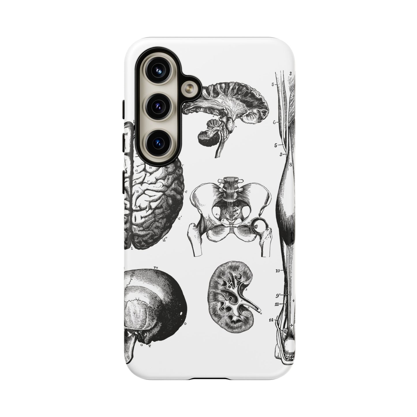 Vintage Anatomy Phone Case - Medical Sketch Design - Custom iPhone, Samsung & Pixel Cover - Science Gift - Doctor Aesthetic - Anatomy case