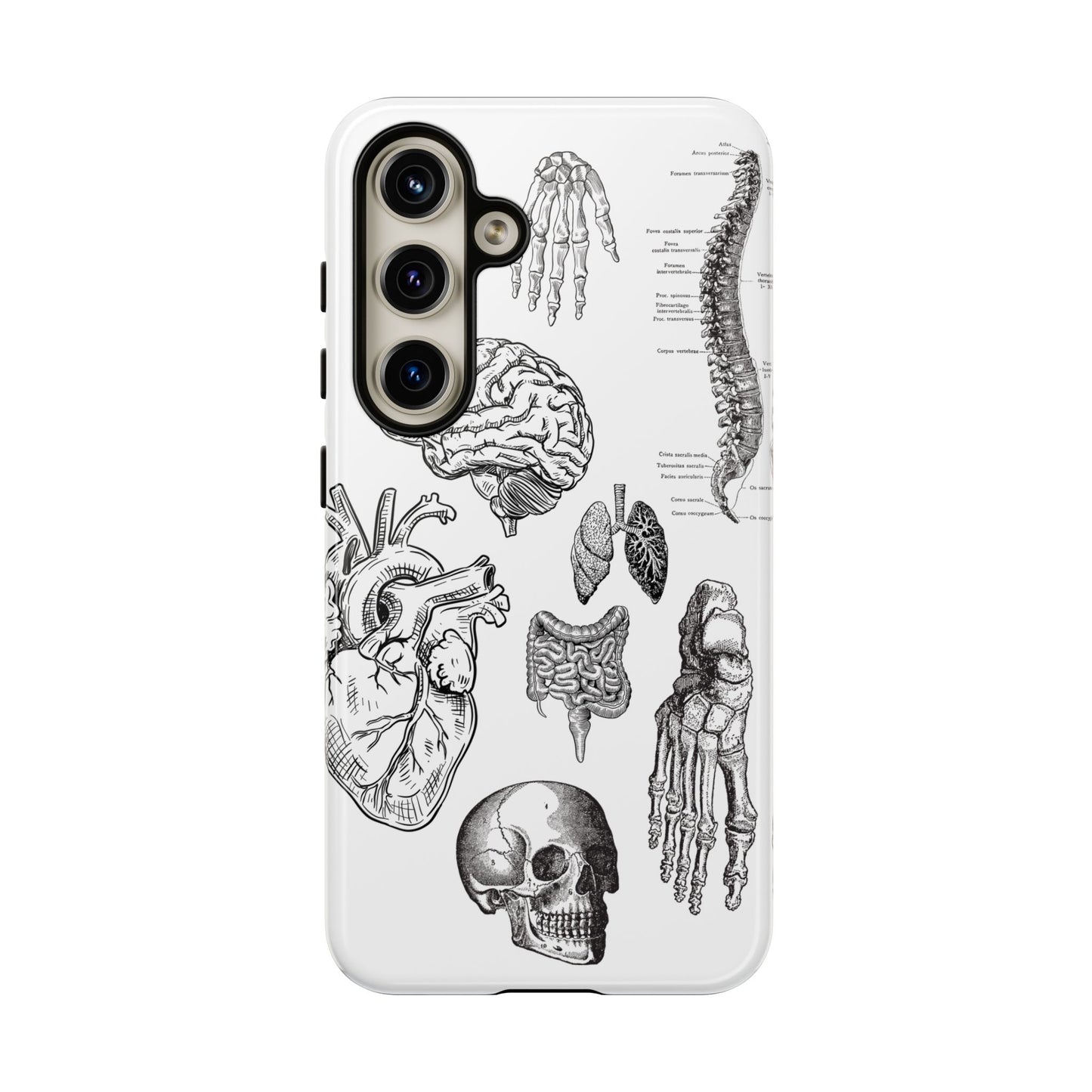 Anatomical Phone Case - Vintage Medical Illustration Case - Science Gift - Custom Medical Phone Cover - Custom Phone Cover - Medical Student