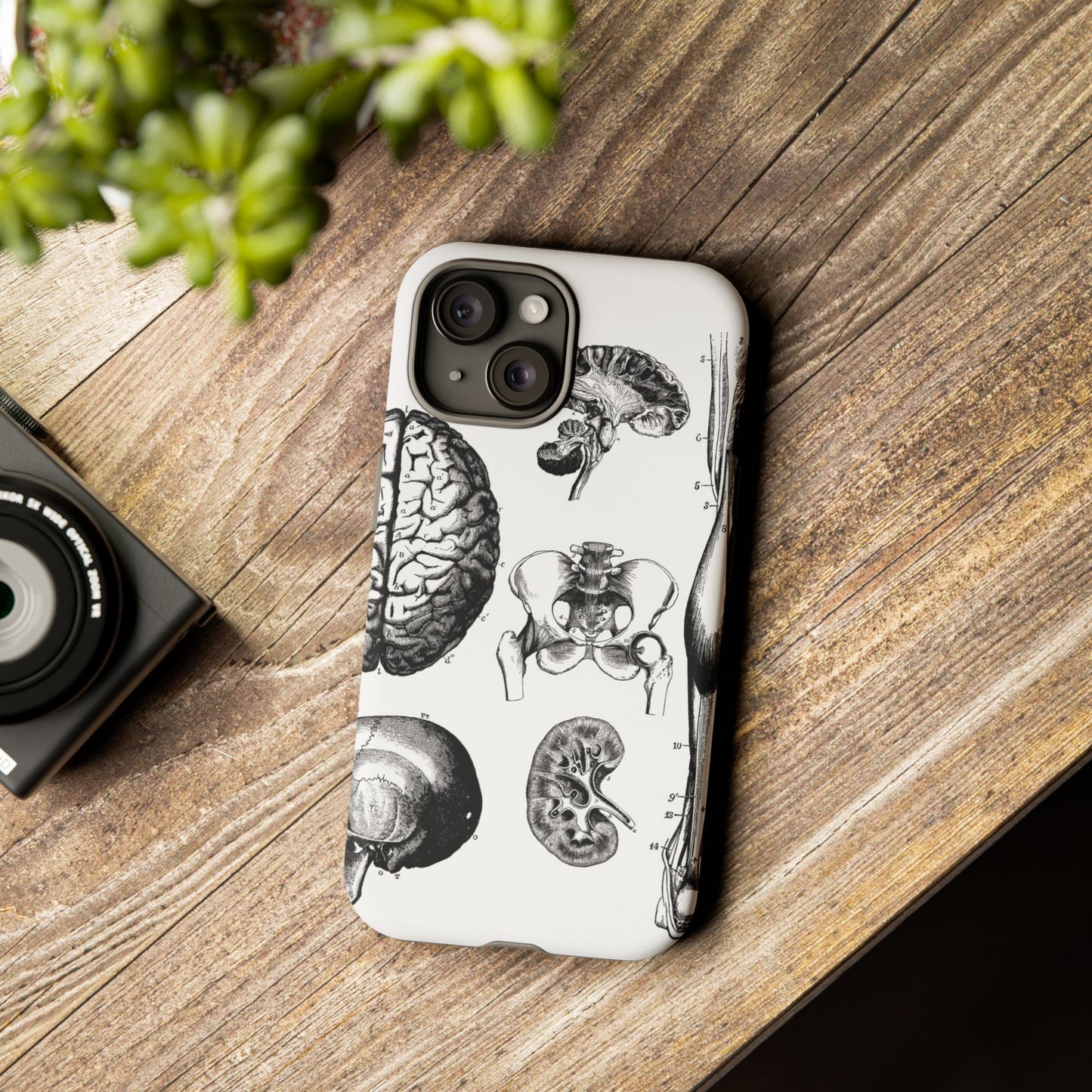 Vintage Anatomy Phone Case - Medical Sketch Design - Custom iPhone, Samsung & Pixel Cover - Science Gift - Doctor Aesthetic - Anatomy case