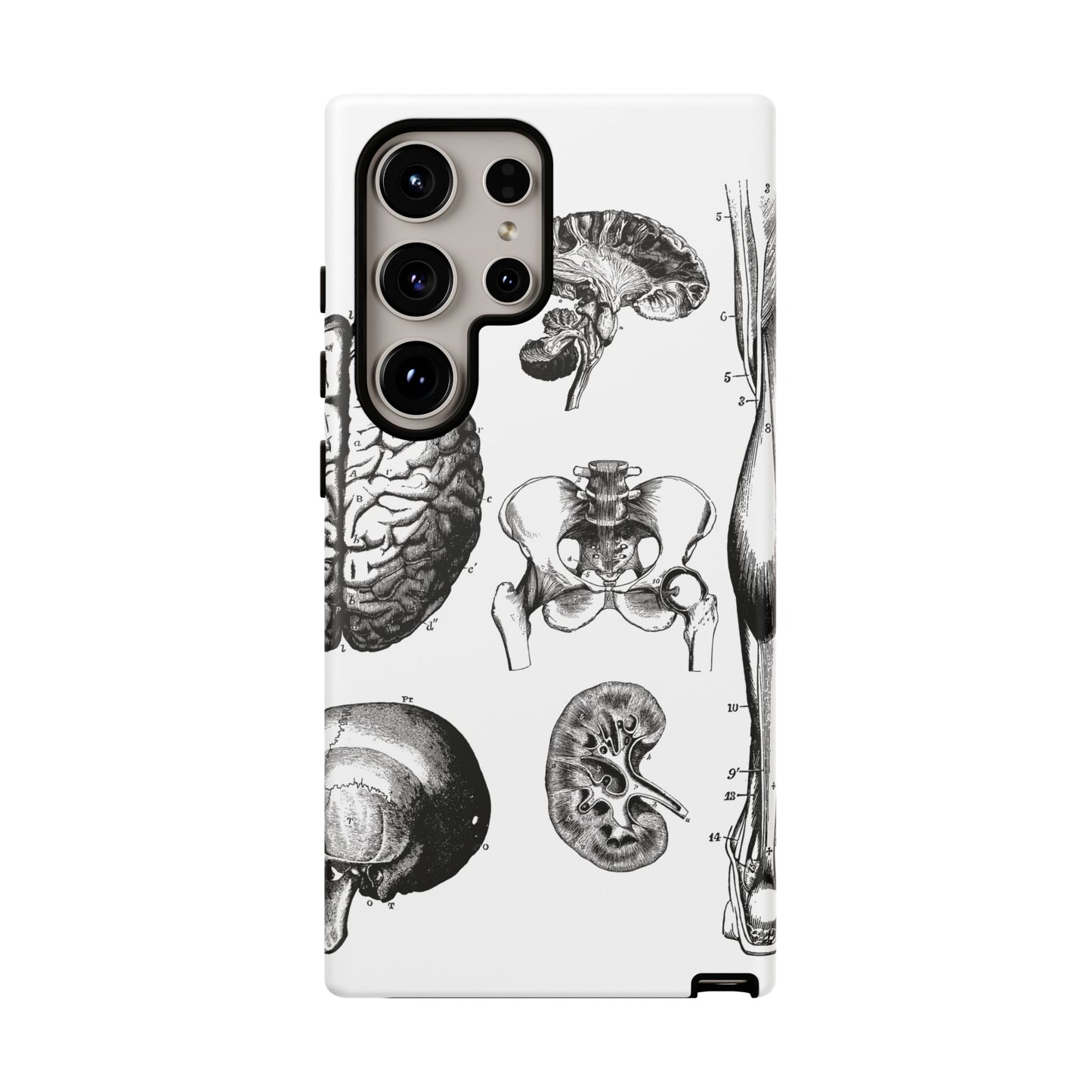 Vintage Anatomy Phone Case - Medical Sketch Design - Custom iPhone, Samsung & Pixel Cover - Science Gift - Doctor Aesthetic - Anatomy case