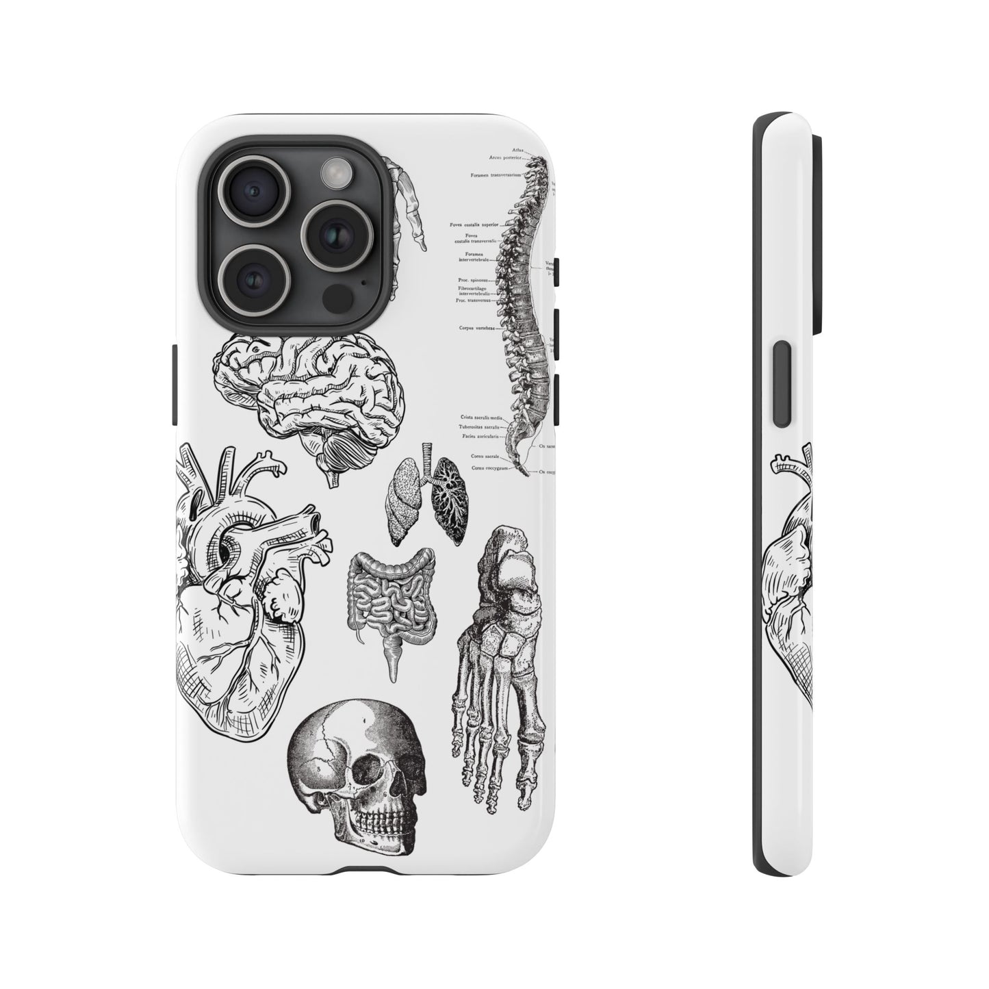 Anatomical Phone Case - Vintage Medical Illustration Case - Science Gift - Custom Medical Phone Cover - Custom Phone Cover - Medical Student