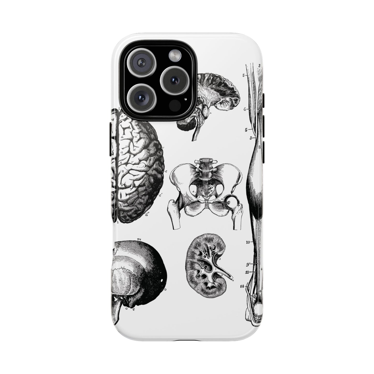 Vintage Anatomy Phone Case - Medical Sketch Design - Custom iPhone, Samsung & Pixel Cover - Science Gift - Doctor Aesthetic - Anatomy case