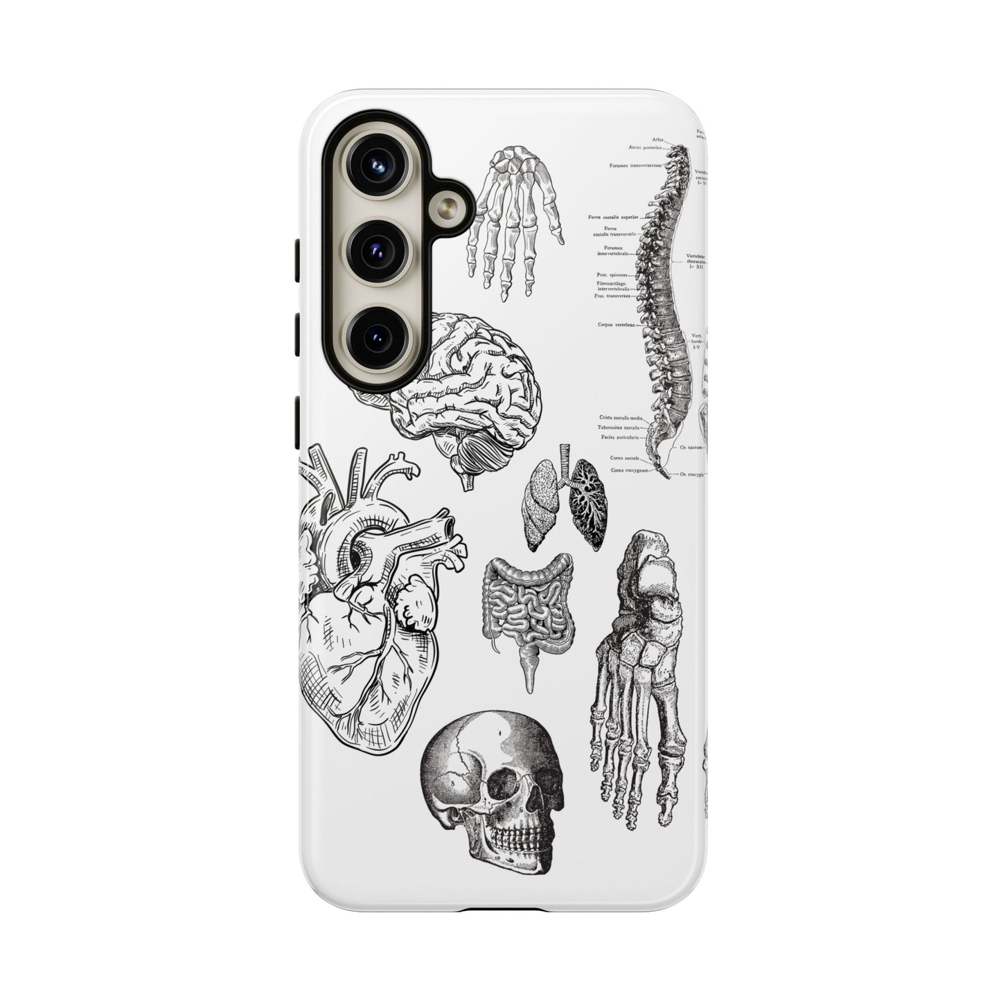 Anatomical Phone Case - Vintage Medical Illustration Case - Science Gift - Custom Medical Phone Cover - Custom Phone Cover - Medical Student