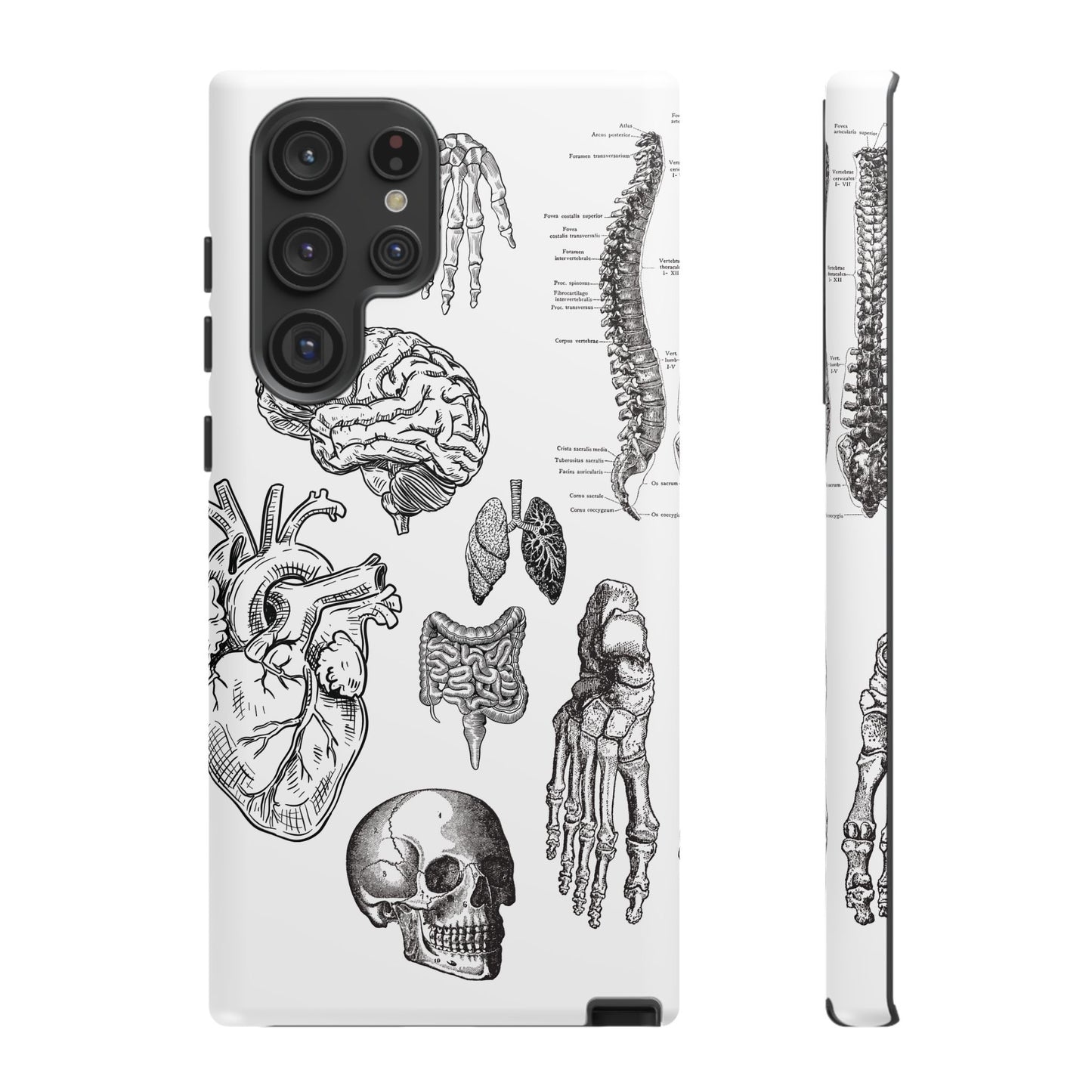 Anatomical Phone Case - Vintage Medical Illustration Case - Science Gift - Custom Medical Phone Cover - Custom Phone Cover - Medical Student