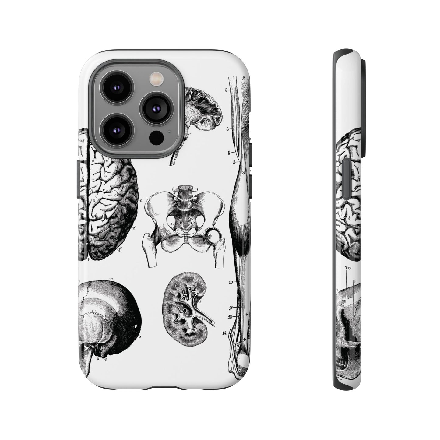 Vintage Anatomy Phone Case - Medical Sketch Design - Custom iPhone, Samsung & Pixel Cover - Science Gift - Doctor Aesthetic - Anatomy case