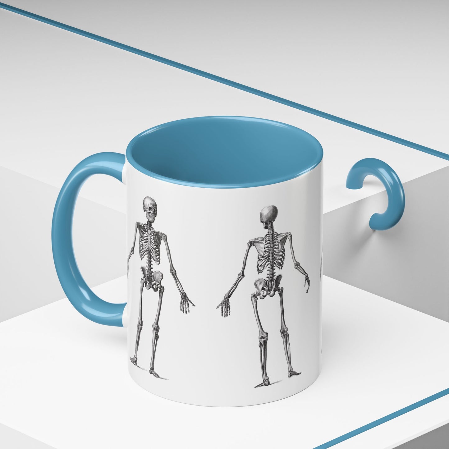 Anatomy Skeleton Accent Coffee Mug, Medical Student Doctor Nurse Gift, Anatomical Diagram, Halloween Mug, Biology Teacher Gift,