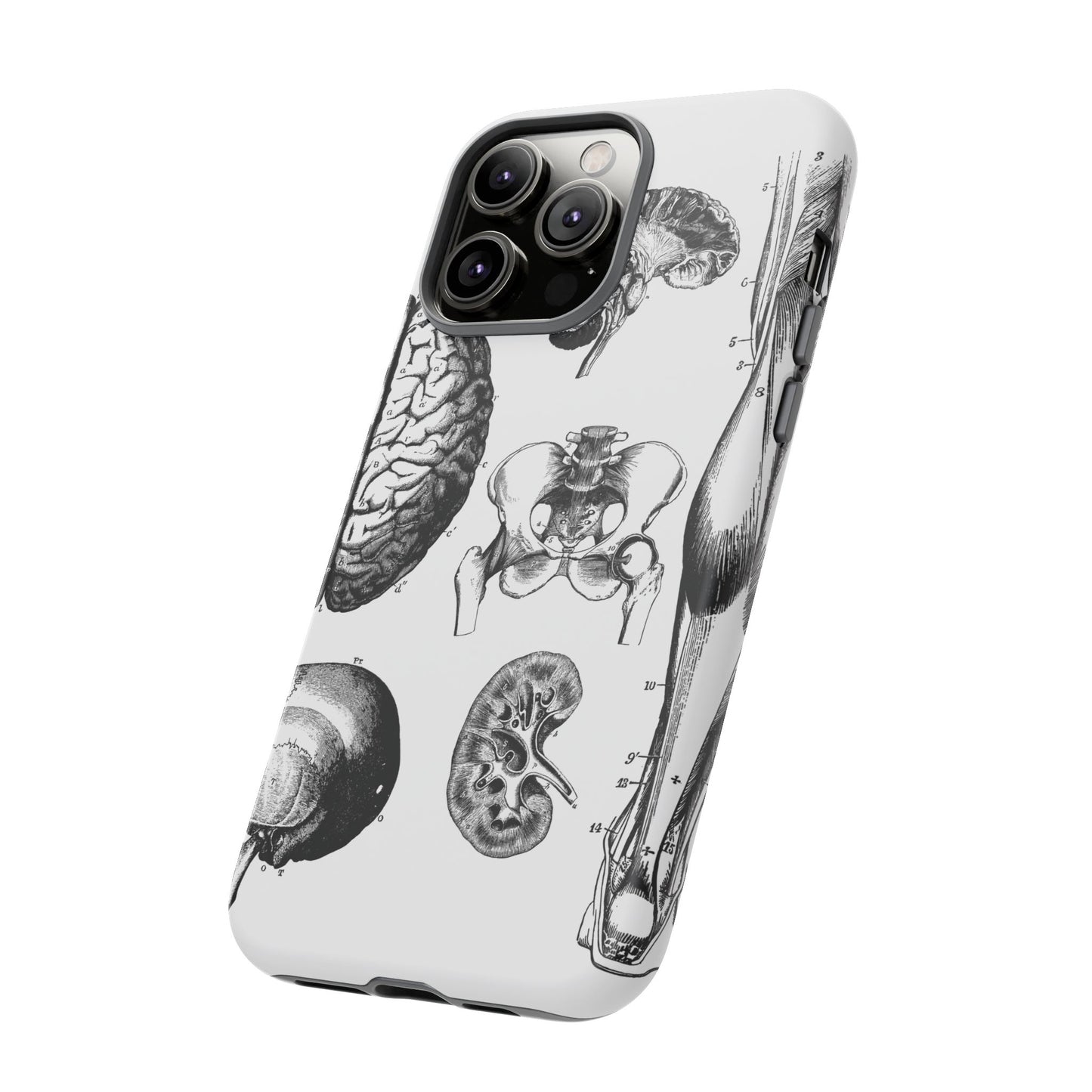 Vintage Anatomy Phone Case - Medical Sketch Design - Custom iPhone, Samsung & Pixel Cover - Science Gift - Doctor Aesthetic - Anatomy case