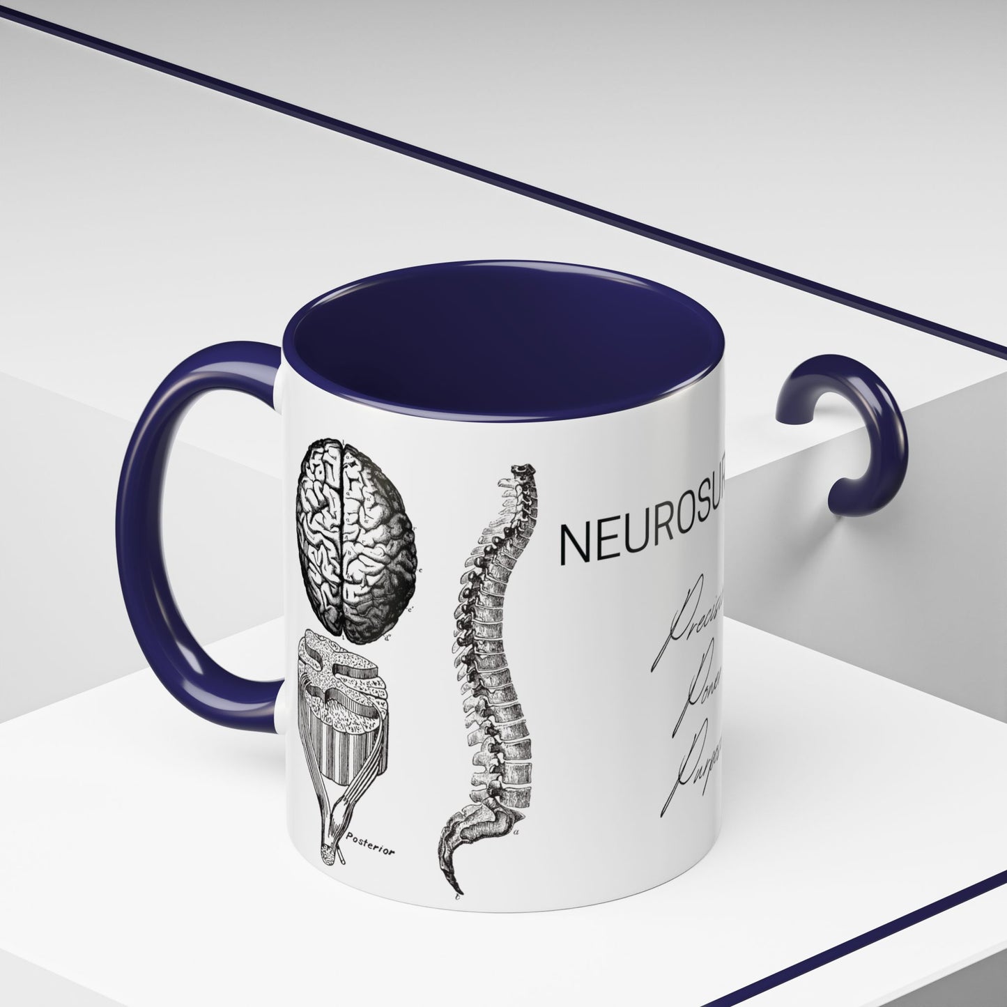 Neuro-Spine Mug, Anatomical Spine Illustration Cup, Neurosurgeon Gift Idea, Spine Surgery Mug, Doctor Appreciation, Medical Worker Gift