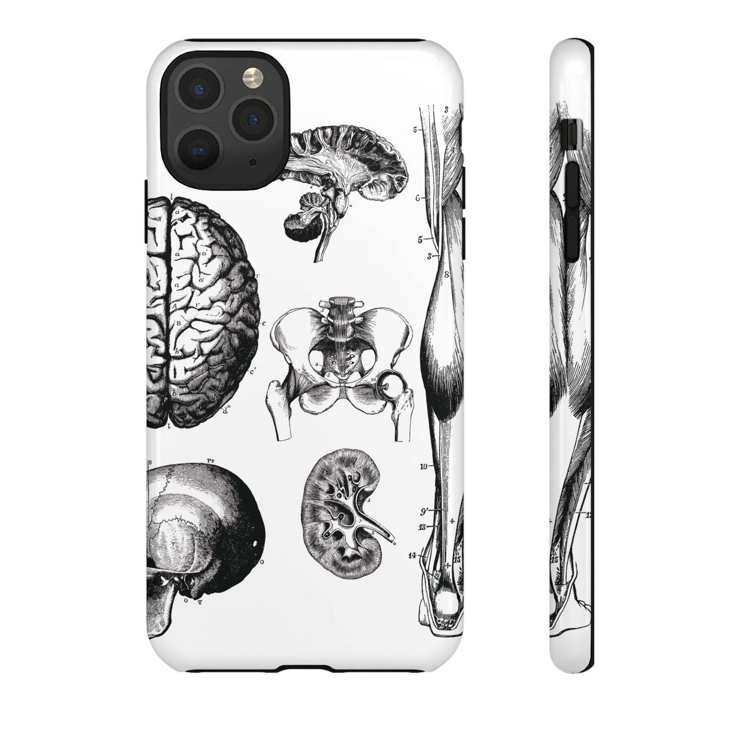Vintage Anatomy Phone Case - Medical Sketch Design - Custom iPhone, Samsung & Pixel Cover - Science Gift - Doctor Aesthetic - Anatomy case