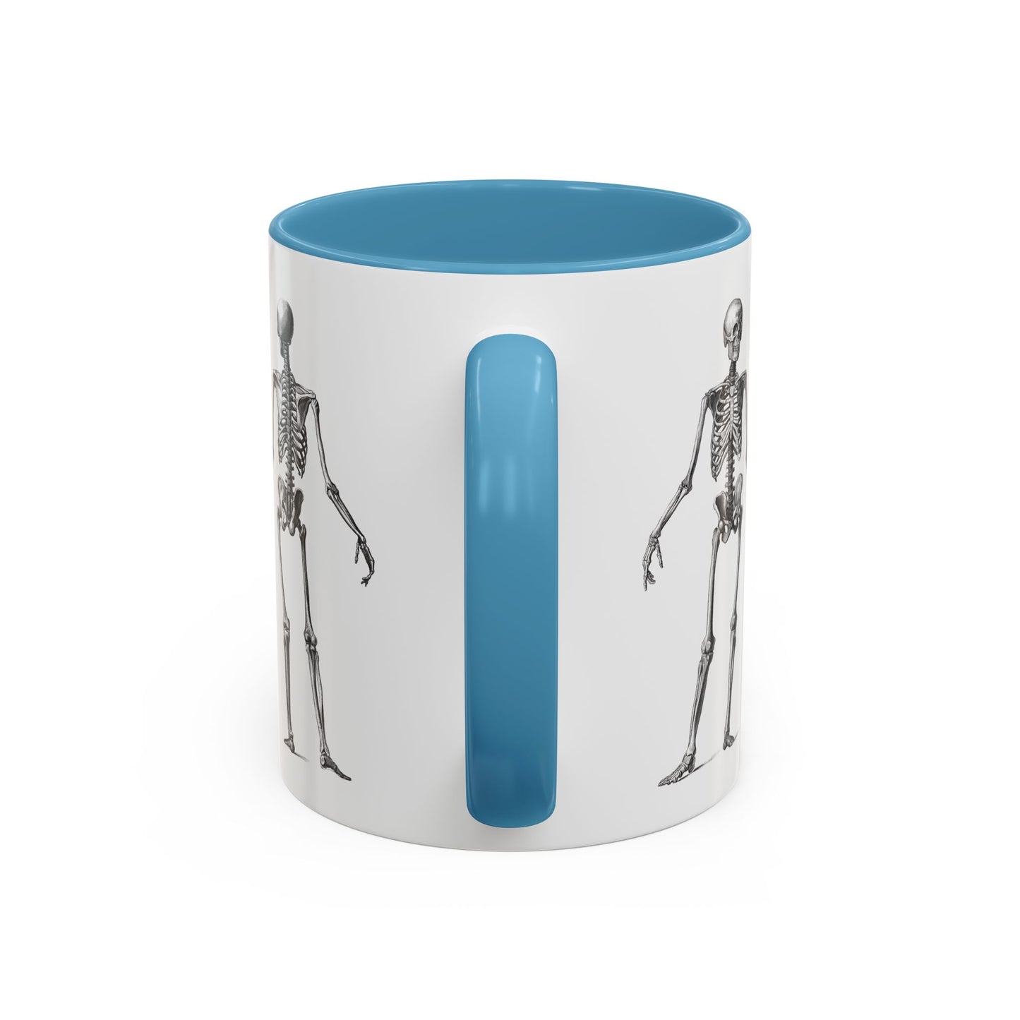 Anatomy Skeleton Accent Coffee Mug, Medical Student Doctor Nurse Gift, Anatomical Diagram, Halloween Mug, Biology Teacher Gift,