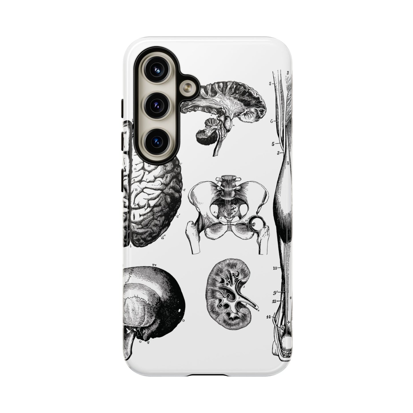 Vintage Anatomy Phone Case - Medical Sketch Design - Custom iPhone, Samsung & Pixel Cover - Science Gift - Doctor Aesthetic - Anatomy case