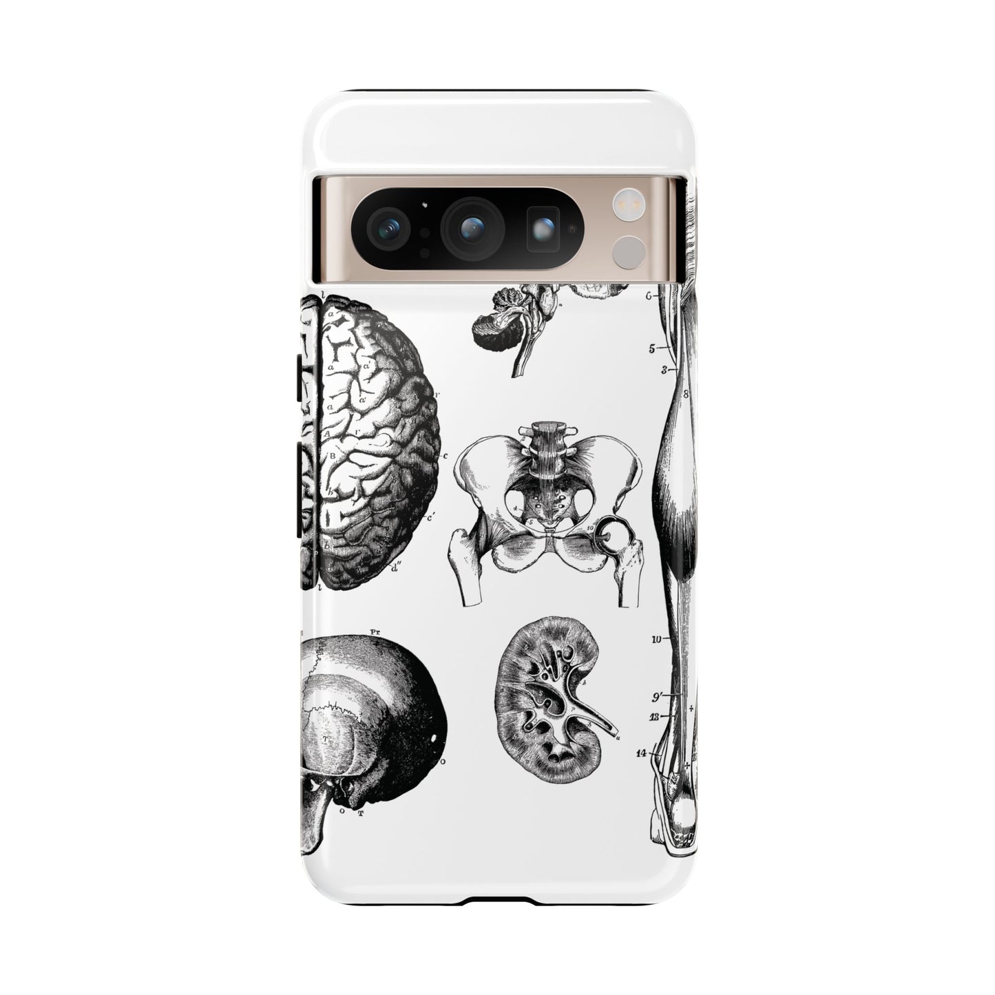 Vintage Anatomy Phone Case - Medical Sketch Design - Custom iPhone, Samsung & Pixel Cover - Science Gift - Doctor Aesthetic - Anatomy case