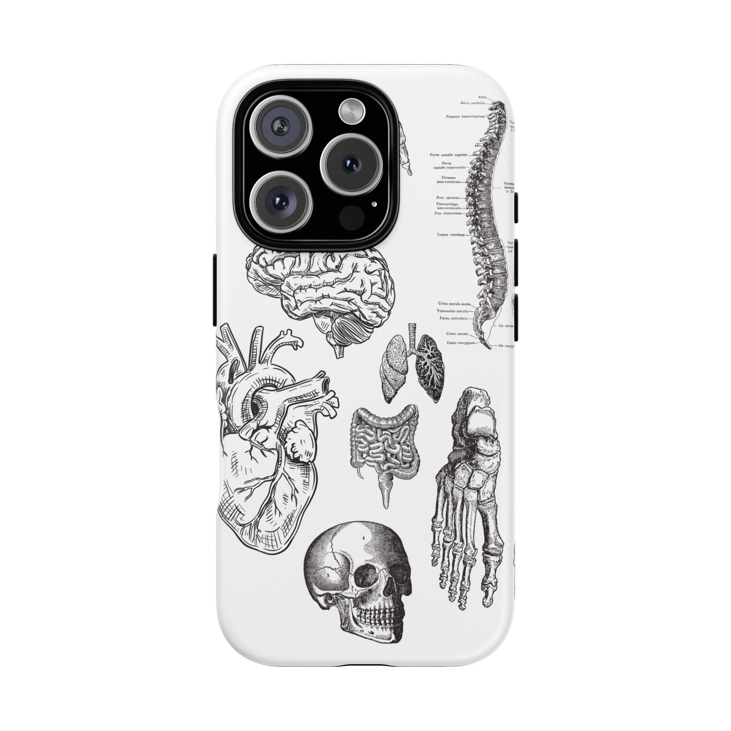 Anatomical Phone Case - Vintage Medical Illustration Case - Science Gift - Custom Medical Phone Cover - Custom Phone Cover - Medical Student
