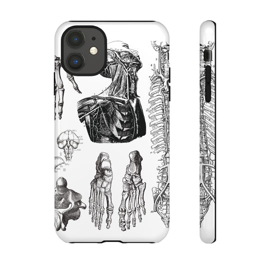 Vintage Anatomy Phone Case - Medical Illustration Design - Custom iPhone, Samsung & Pixel Cover - Science Gift - Doctor Aesthetic - Anatomy