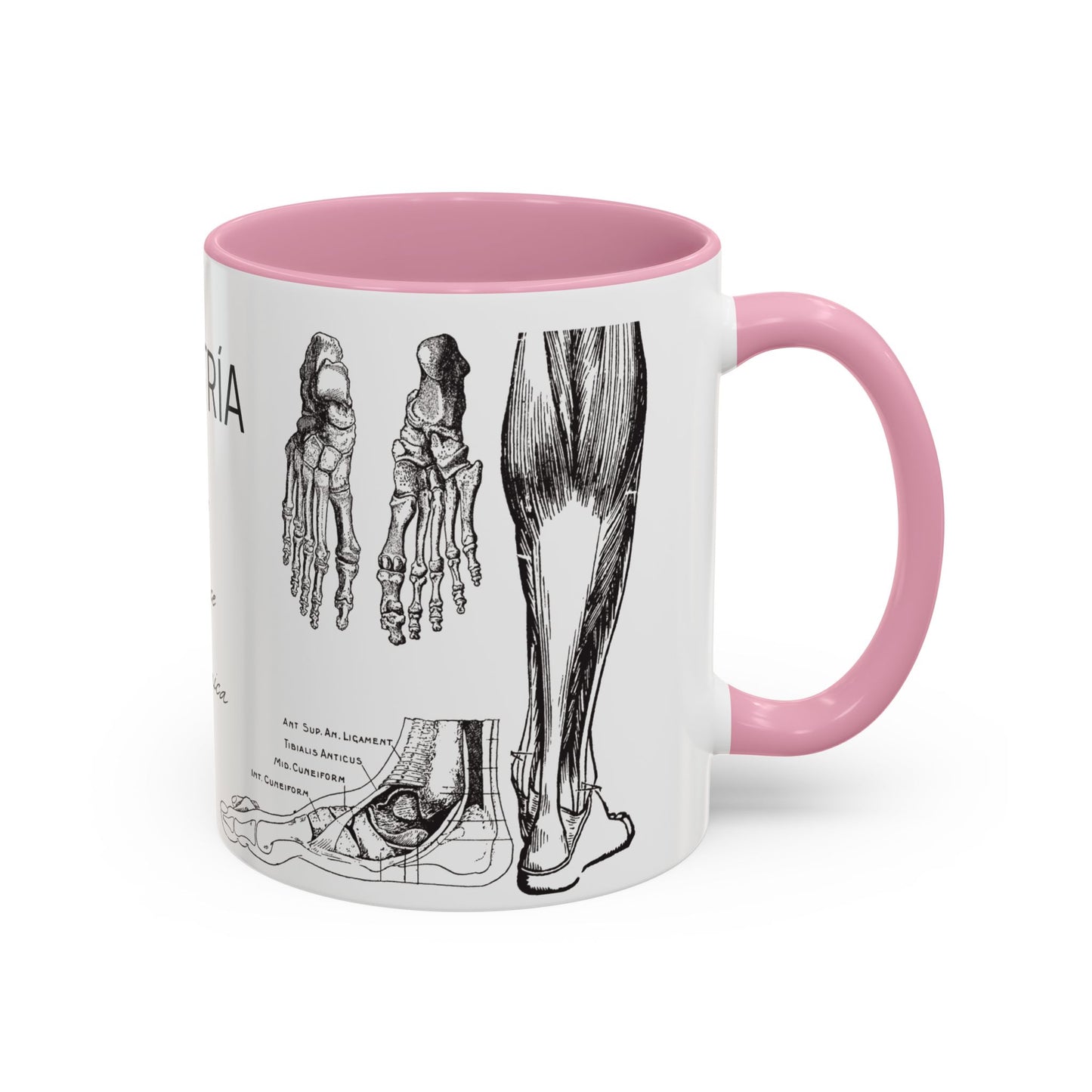 Taza Podología Pie Anatómico, Regalo Podólogo, Taza Anatomía Médica, Taza Doctor, Taza Estudiante Medicina, Personal Sanitario