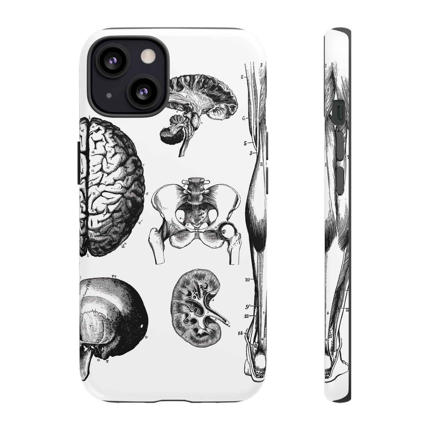 Vintage Anatomy Phone Case - Medical Sketch Design - Custom iPhone, Samsung & Pixel Cover - Science Gift - Doctor Aesthetic - Anatomy case