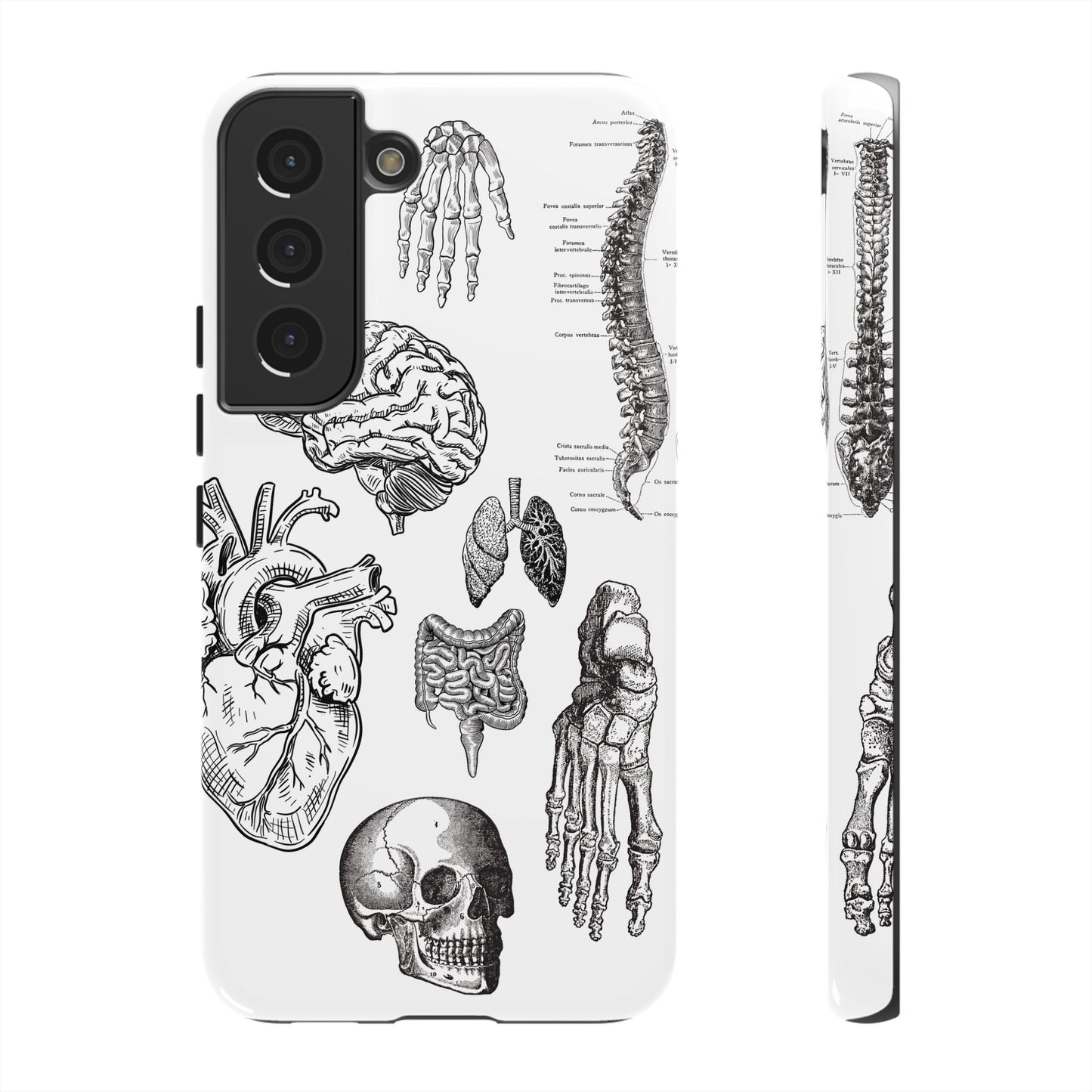 Anatomical Phone Case - Vintage Medical Illustration Case - Science Gift - Custom Medical Phone Cover - Custom Phone Cover - Medical Student