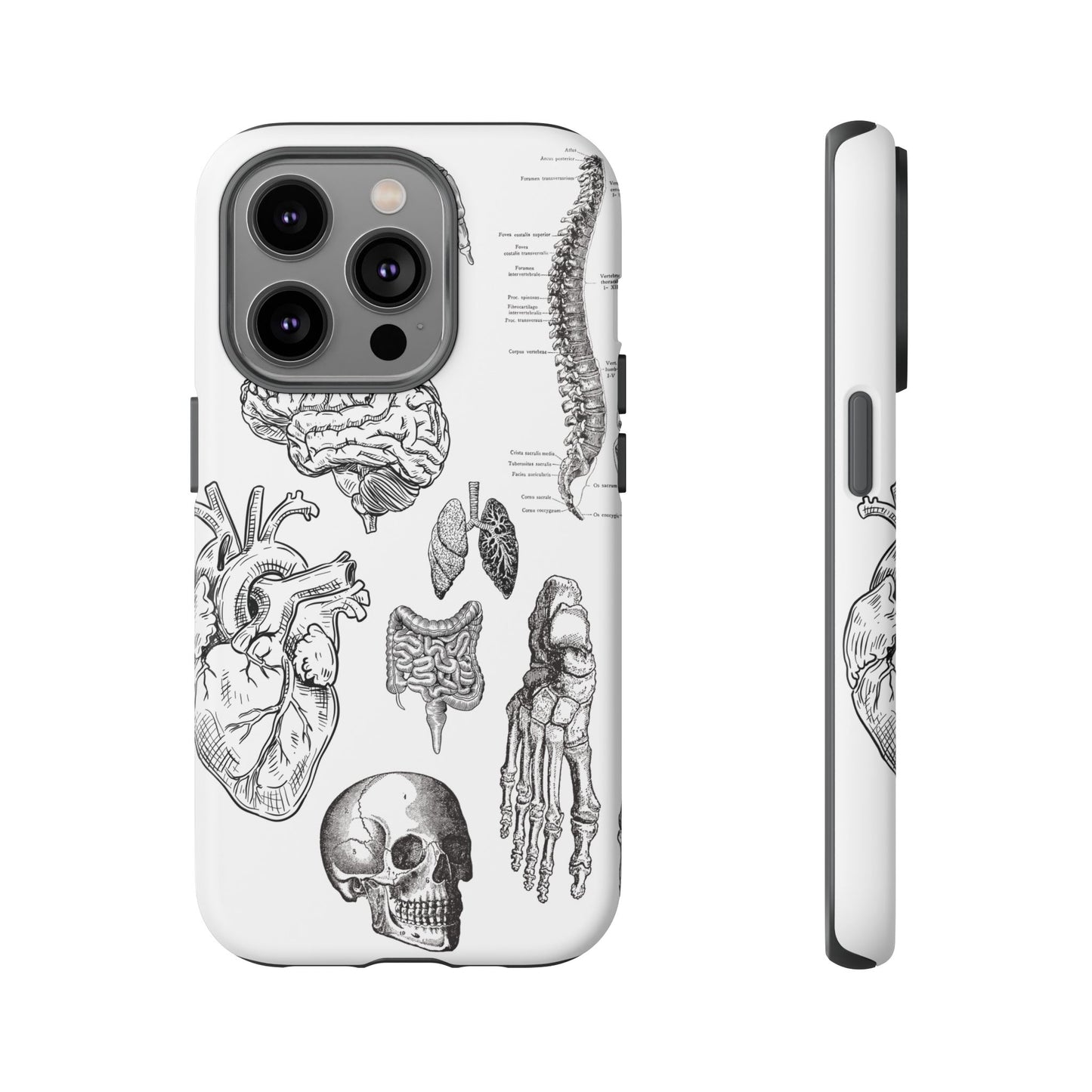 Anatomical Phone Case - Vintage Medical Illustration Case - Science Gift - Custom Medical Phone Cover - Custom Phone Cover - Medical Student