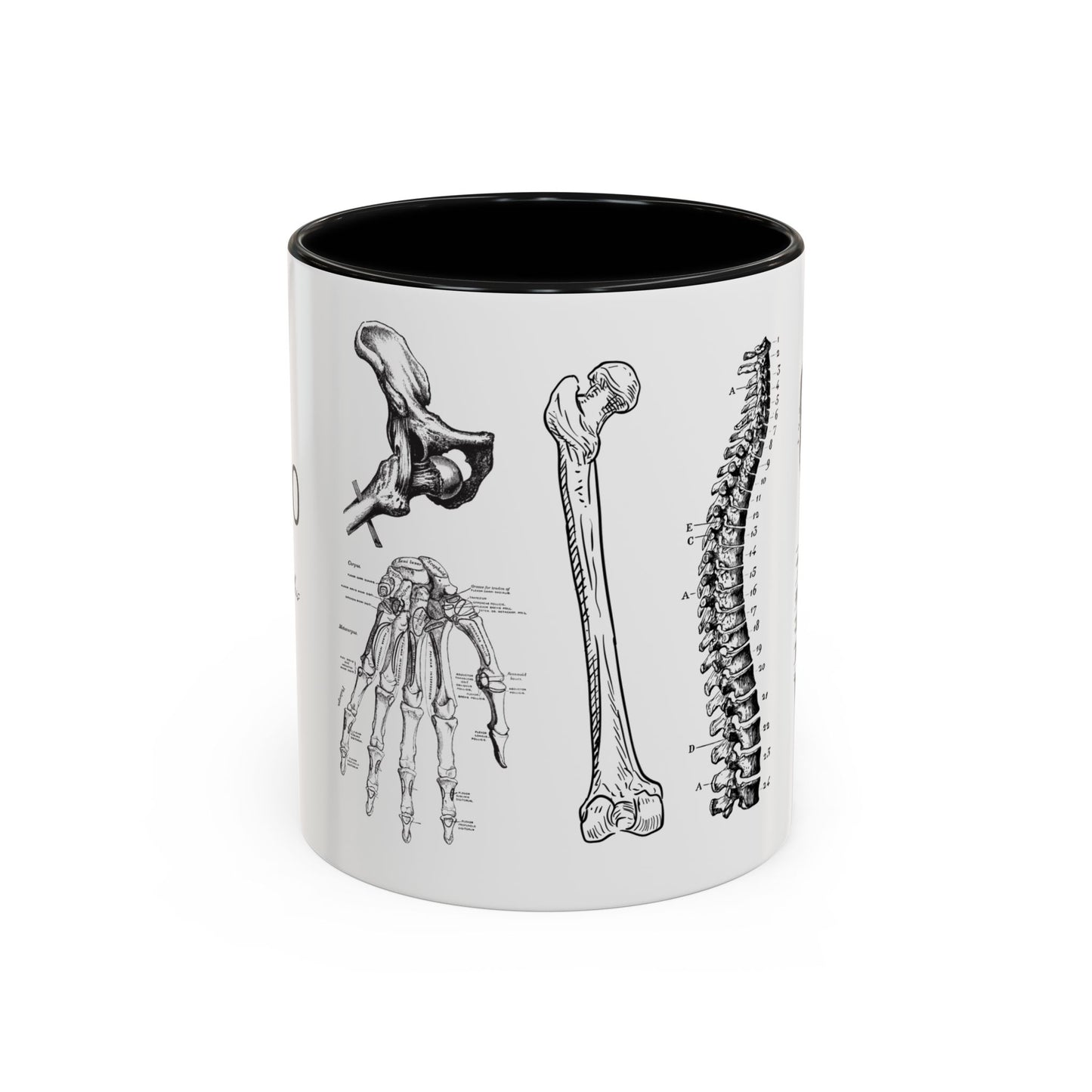 Orthopedic Surgery Mug, Bone Anatomy Coffee Cup, Orthopedist Gift Idea, Medical Anatomy Mug, Doctor Appreciation, Healthcare Worker Gift