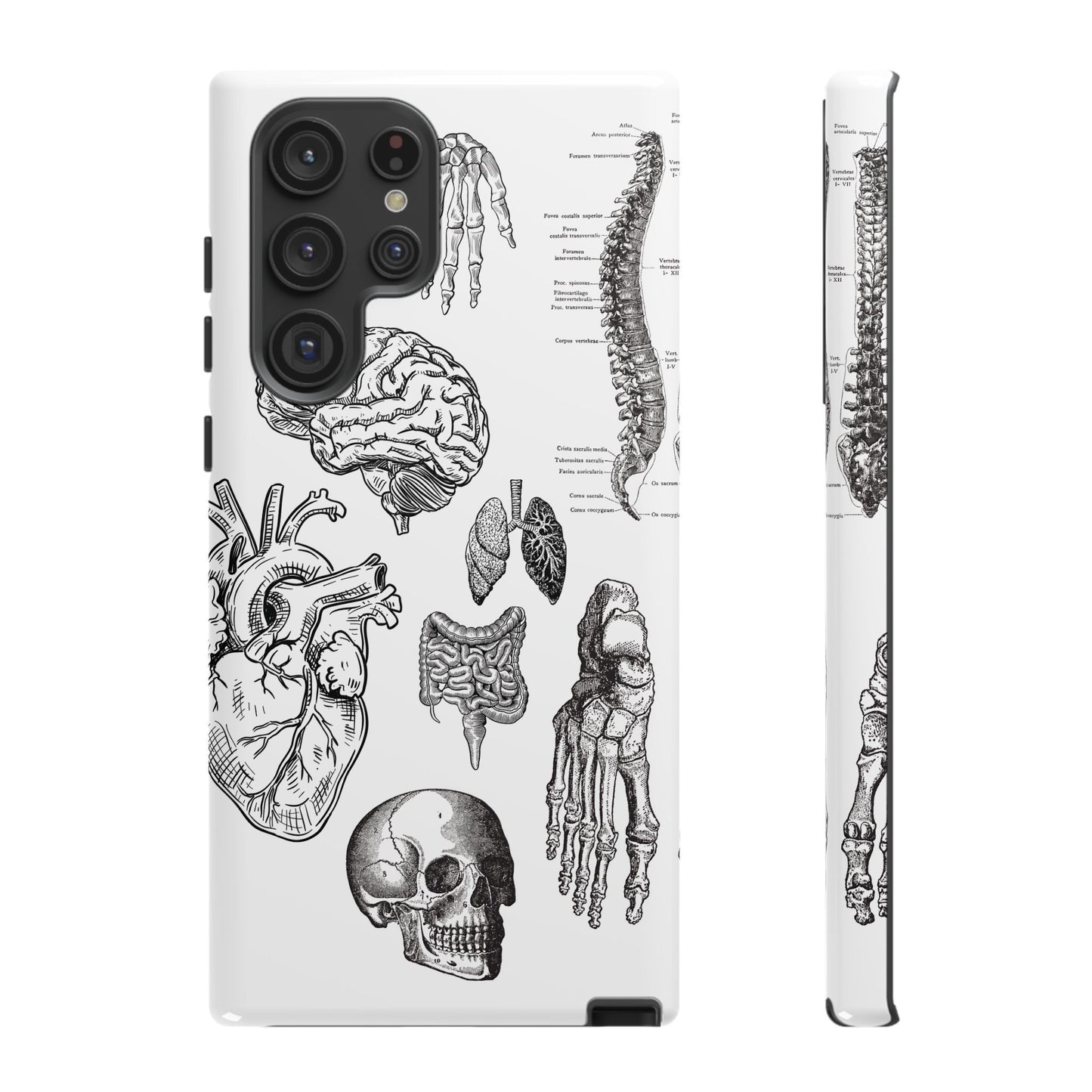 Anatomical Phone Case - Vintage Medical Illustration Case - Science Gift - Custom Medical Phone Cover - Custom Phone Cover - Medical Student