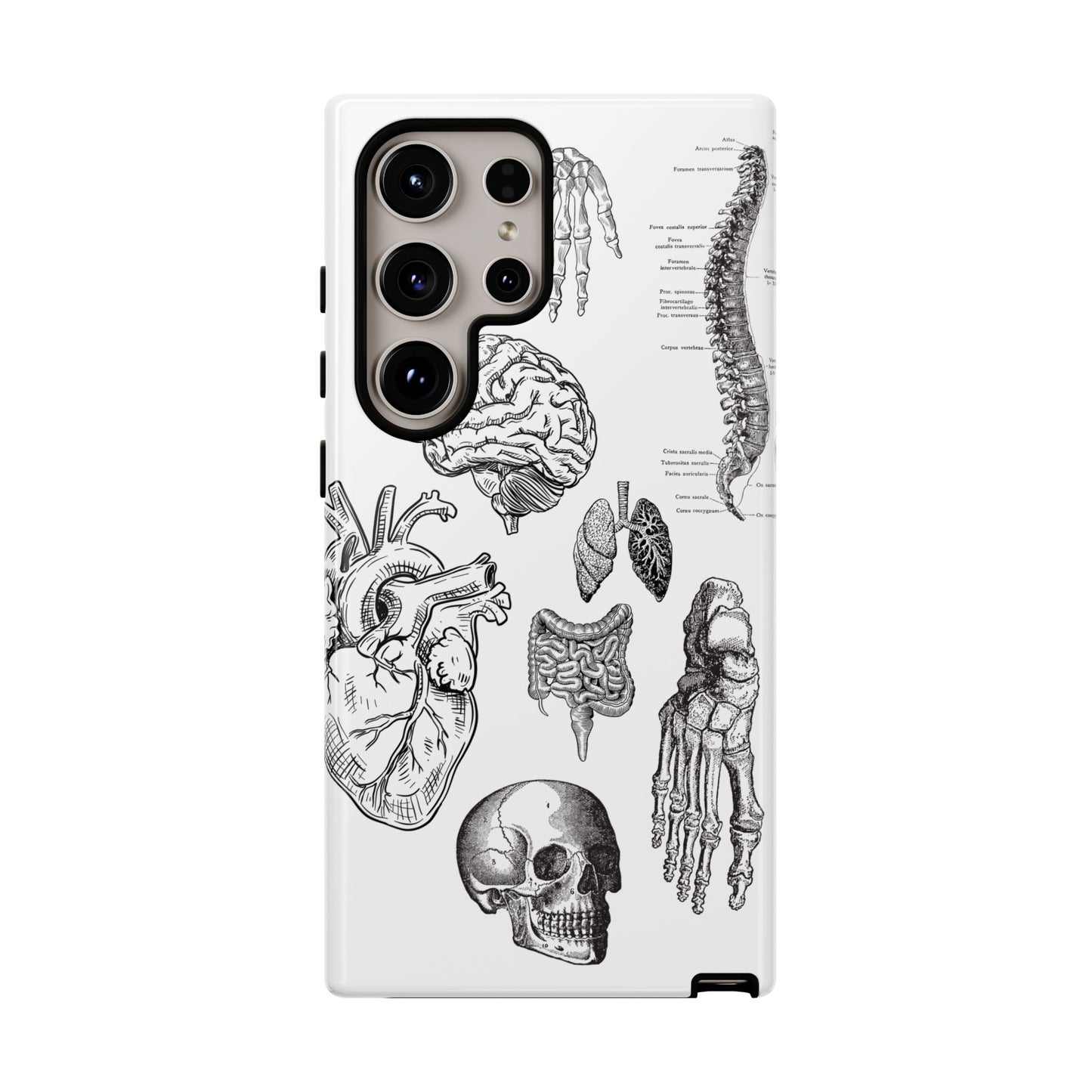 Anatomical Phone Case - Vintage Medical Illustration Case - Science Gift - Custom Medical Phone Cover - Custom Phone Cover - Medical Student