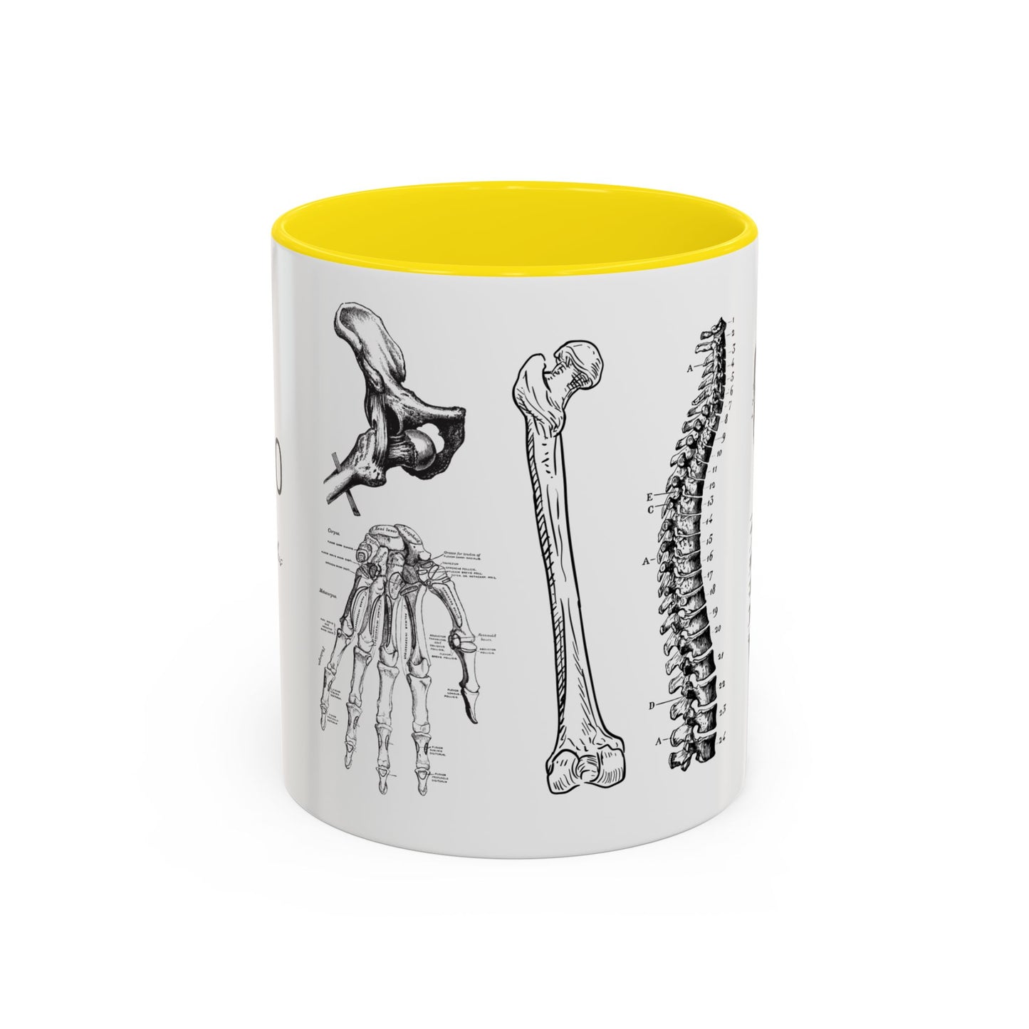 Orthopedic Surgery Mug, Bone Anatomy Coffee Cup, Orthopedist Gift Idea, Medical Anatomy Mug, Doctor Appreciation, Healthcare Worker Gift