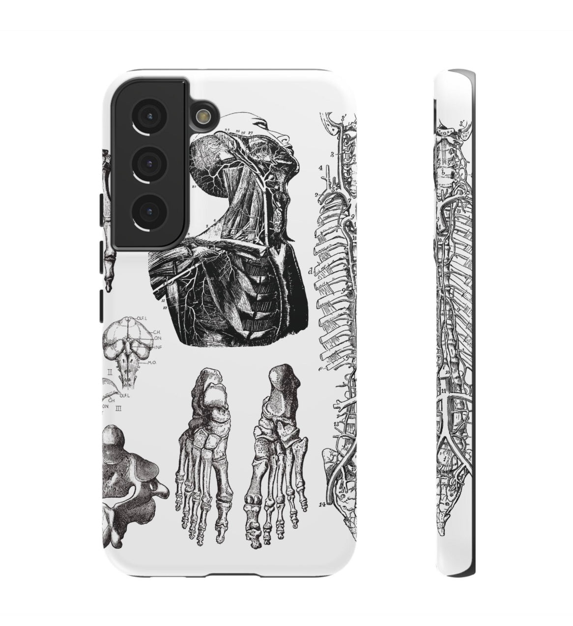 Vintage Anatomy Phone Case - Medical Illustration Design - Custom iPhone, Samsung & Pixel Cover - Science Gift - Doctor Aesthetic - Anatomy