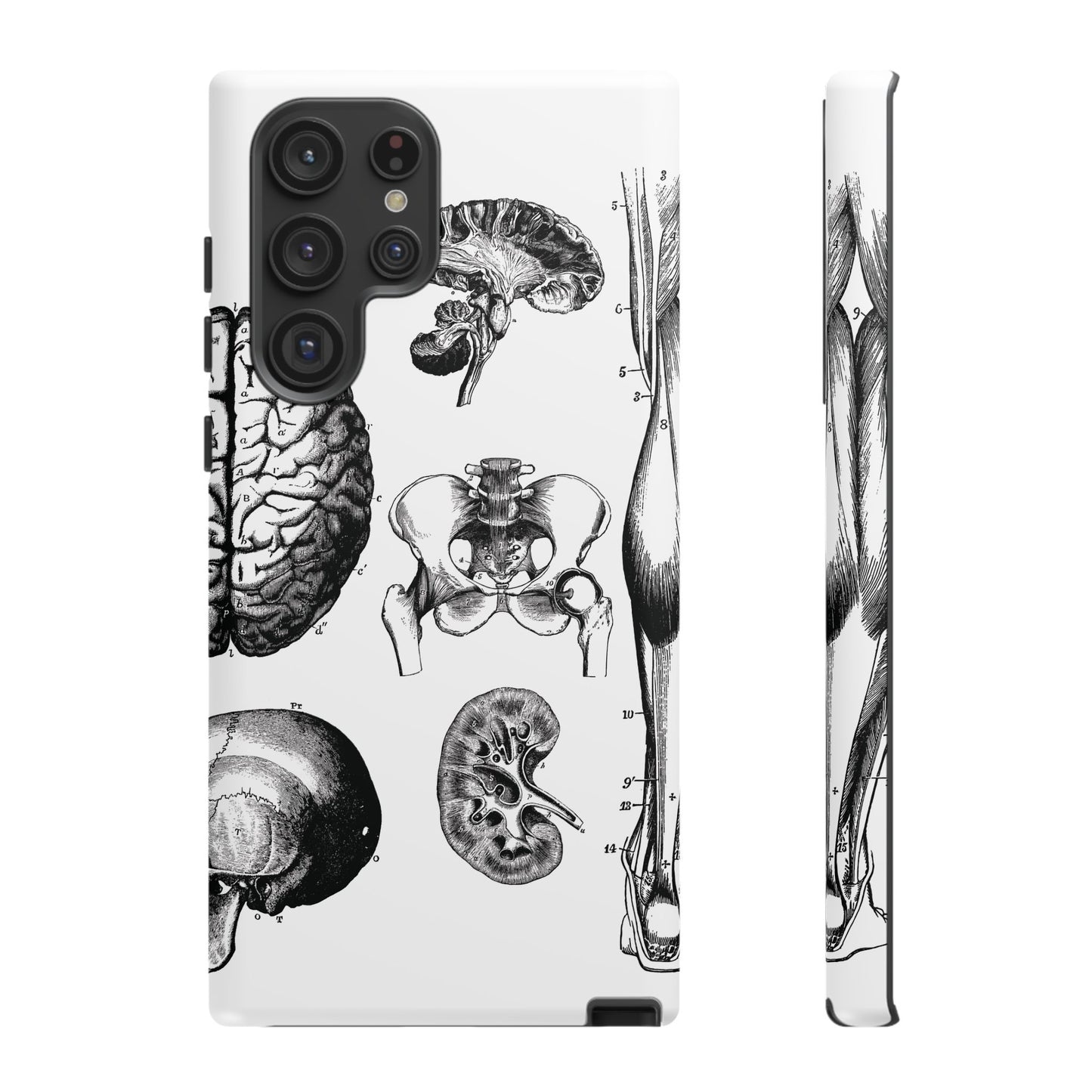 Vintage Anatomy Phone Case - Medical Sketch Design - Custom iPhone, Samsung & Pixel Cover - Science Gift - Doctor Aesthetic - Anatomy case