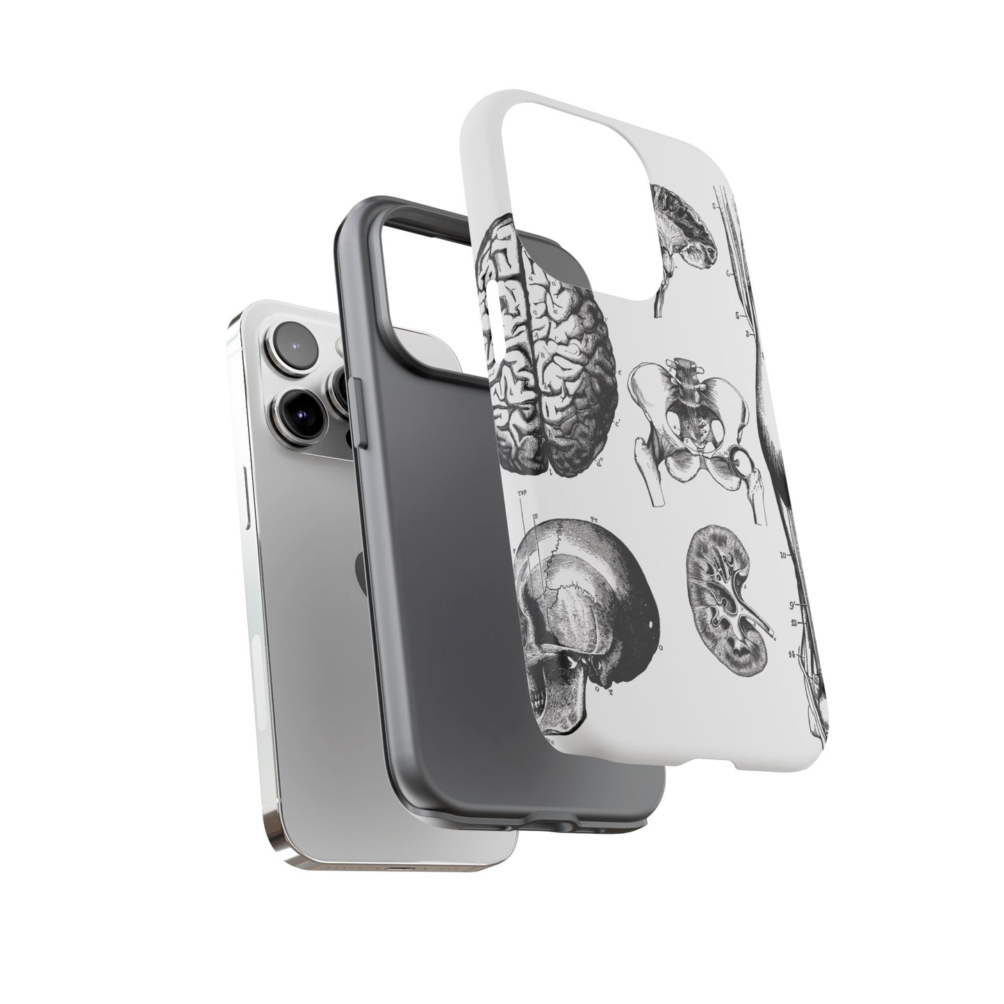 Vintage Anatomy Phone Case - Medical Sketch Design - Custom iPhone, Samsung & Pixel Cover - Science Gift - Doctor Aesthetic - Anatomy case