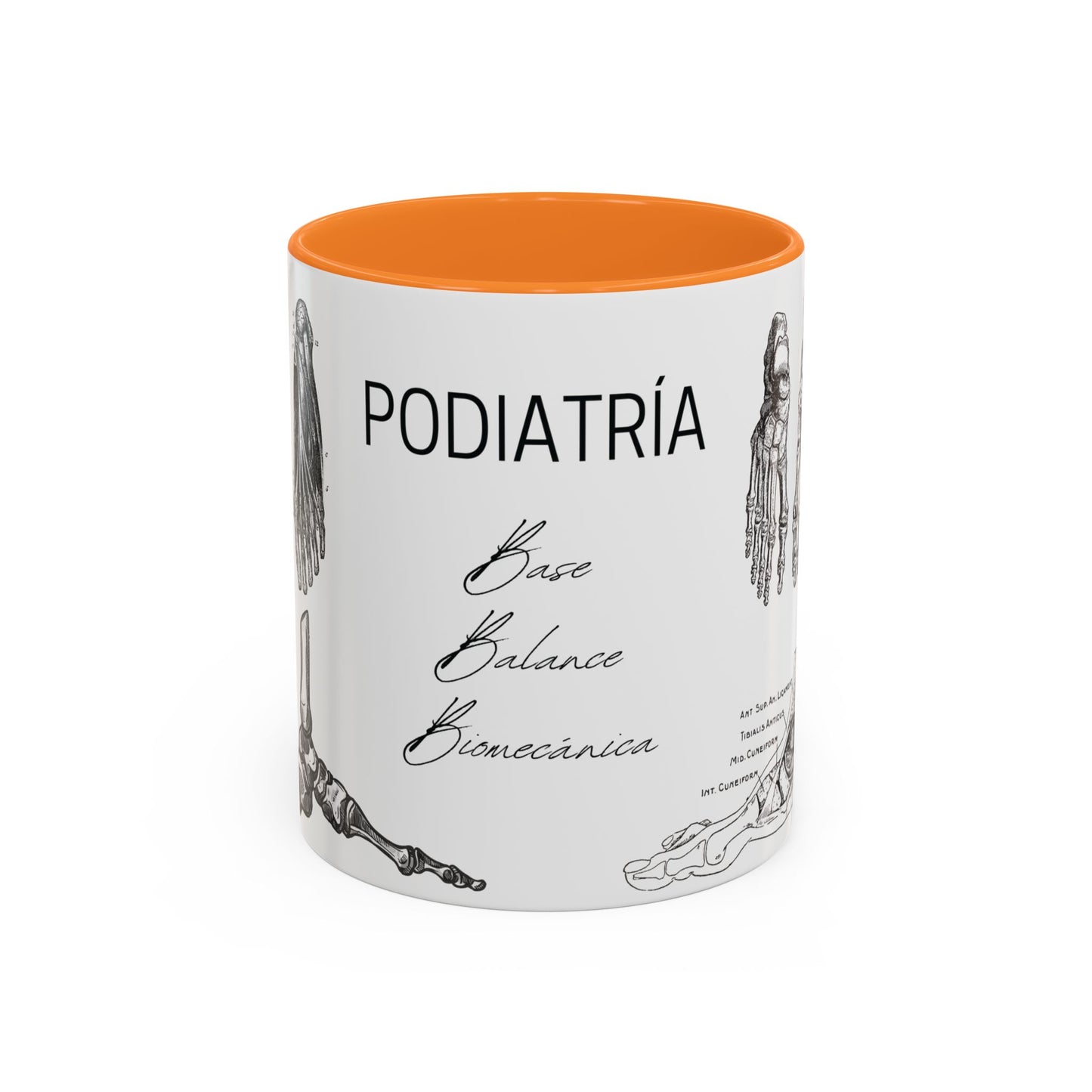 Taza Podología Pie Anatómico, Regalo Podólogo, Taza Anatomía Médica, Taza Doctor, Taza Estudiante Medicina, Personal Sanitario