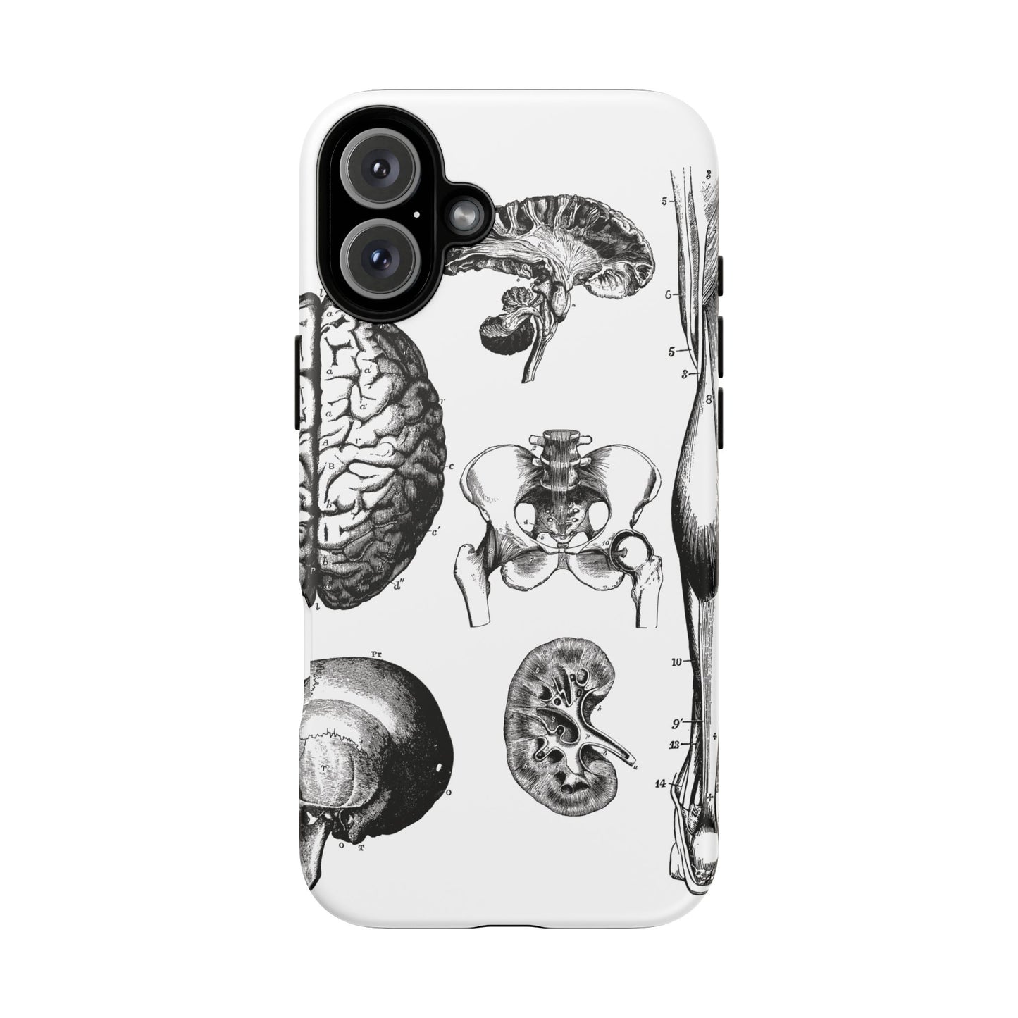 Vintage Anatomy Phone Case - Medical Sketch Design - Custom iPhone, Samsung & Pixel Cover - Science Gift - Doctor Aesthetic - Anatomy case