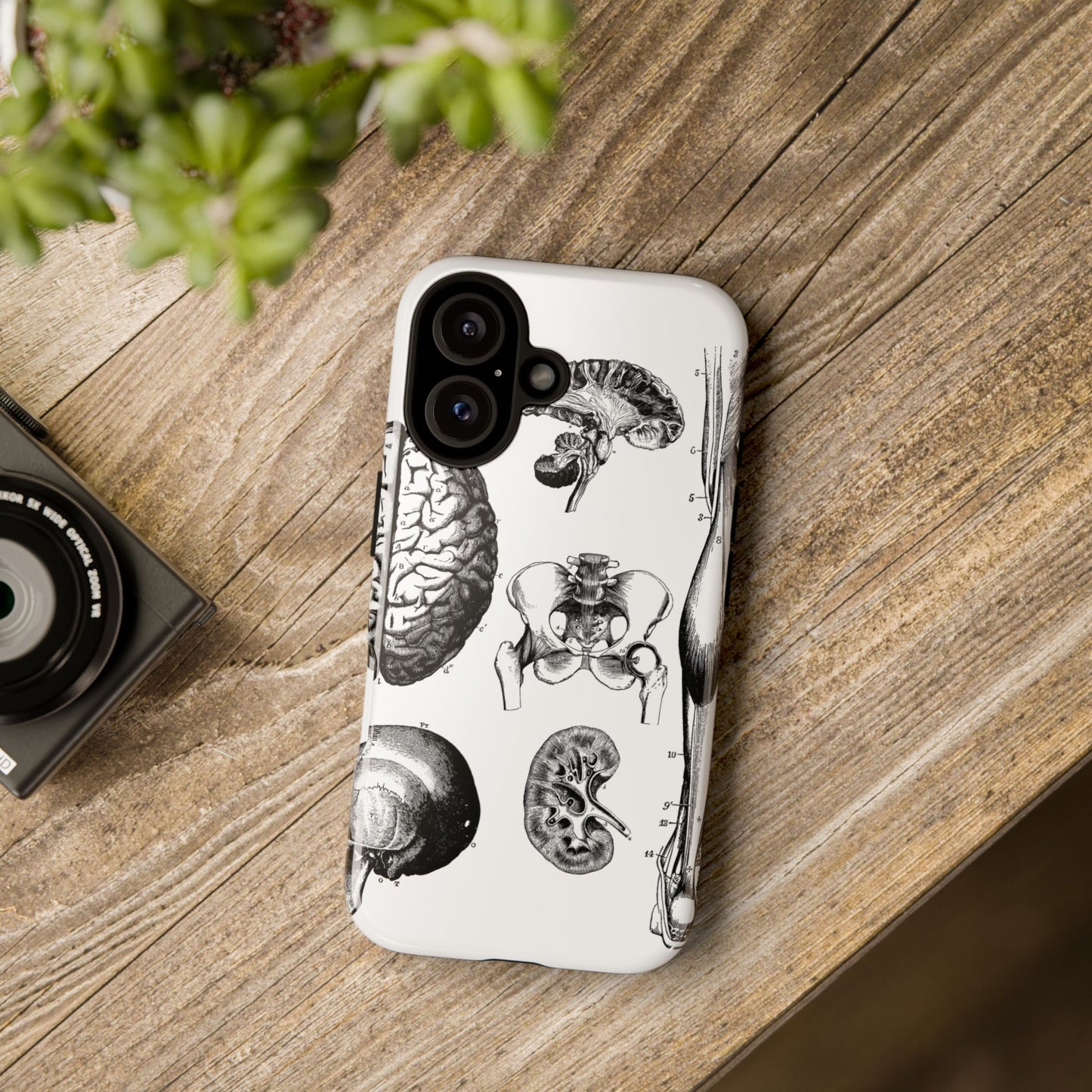 Vintage Anatomy Phone Case - Medical Sketch Design - Custom iPhone, Samsung & Pixel Cover - Science Gift - Doctor Aesthetic - Anatomy case