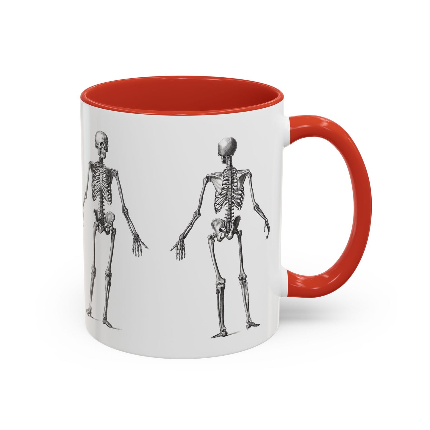 Anatomy Skeleton Accent Coffee Mug, Medical Student Doctor Nurse Gift, Anatomical Diagram, Halloween Mug, Biology Teacher Gift,